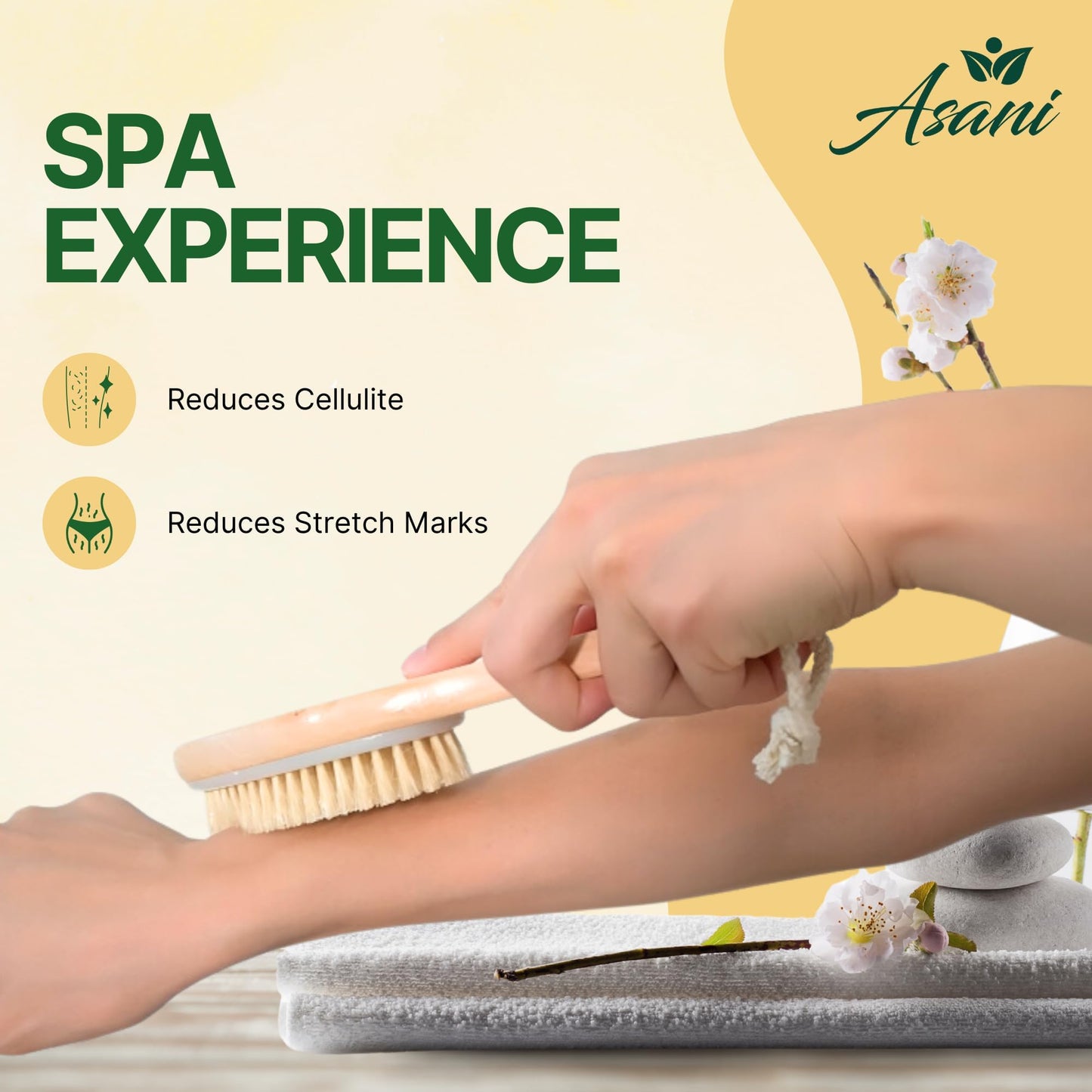 Asani Dry Brushing Body Brush Set for Lymphatic Drainage & Cellulite - 3-Pcs Detachable Back, Contour Body & Face Brushes Organic Gift for Dry Skin