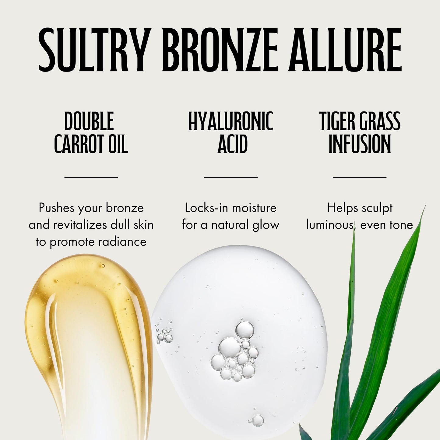 Brown Sugar Double Dark Sexy Side Tanning Lotion, 400X Wildbronzer with Jamaican Black Castor Oil, Double Carrot Oil, Hyaluronic Acid & Peptides, 13.5