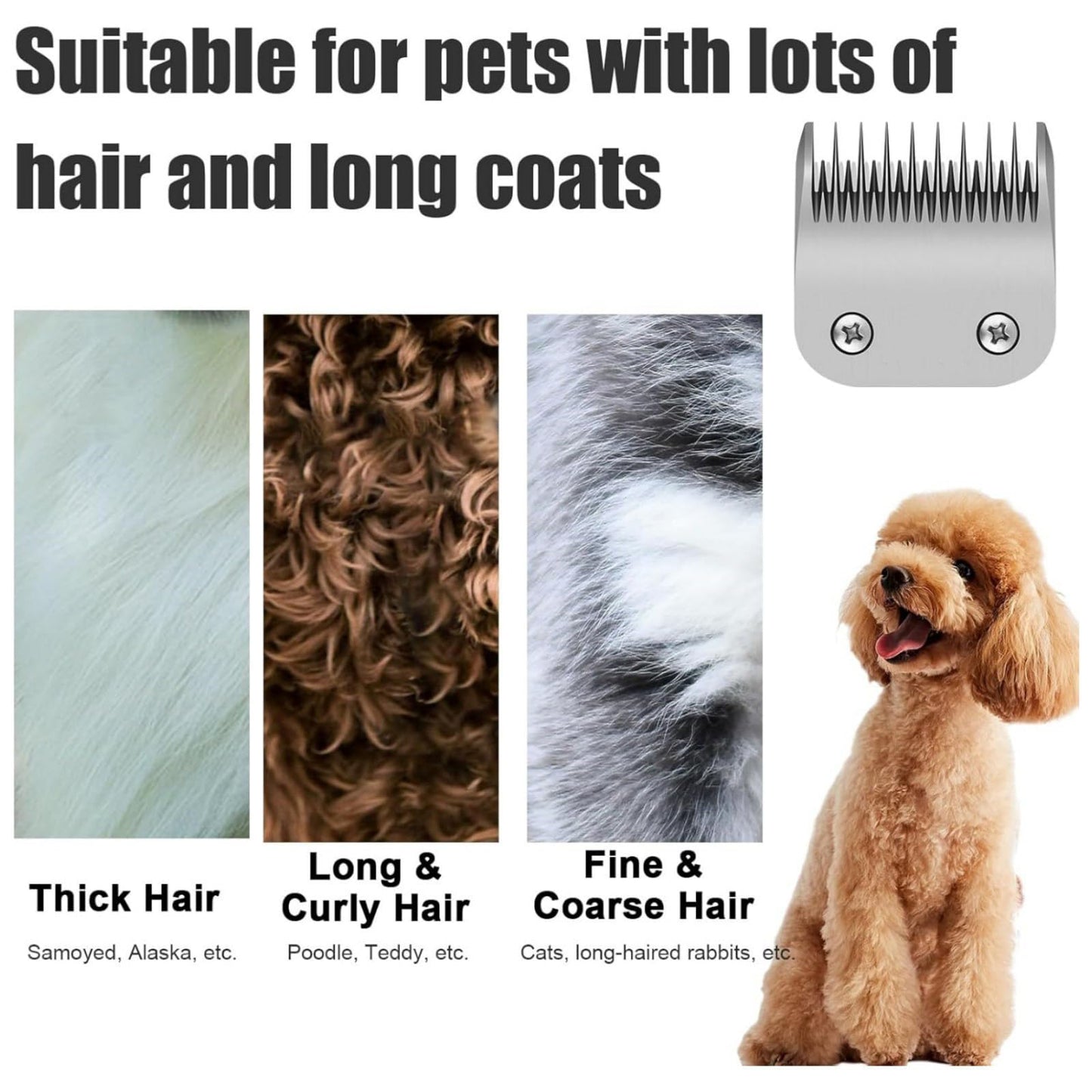 6.3mm Size-5F Replacement Detachable Dog Clipper Blade for Wahl KM2, KM5, KM10, A5 Clippers NEW Beauty and Personal Care MLKOSS