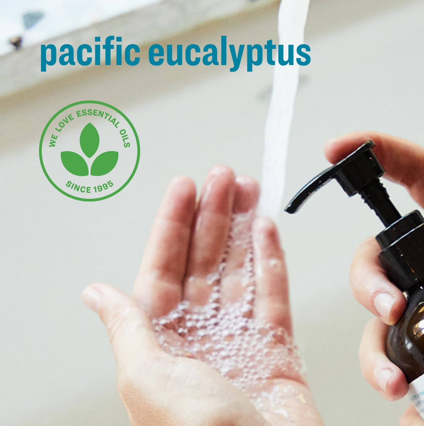Everyone Liquid Hand Soap, 12.75 Ounce (Pack of 3), Pacific Eucalyptus, made with Essential Oils for Kitchen and Bathroom Beauty and Personal Care everyone for every body