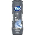 Dial Men Body Wash Infinite, fresh, 16 Ounce