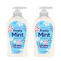 Softsoap Limited Edition Frosty Mint Peppermint Scented Liquid Hand Soap, 11.25 Fl Oz, 2 Pack, Winter Holiday Design