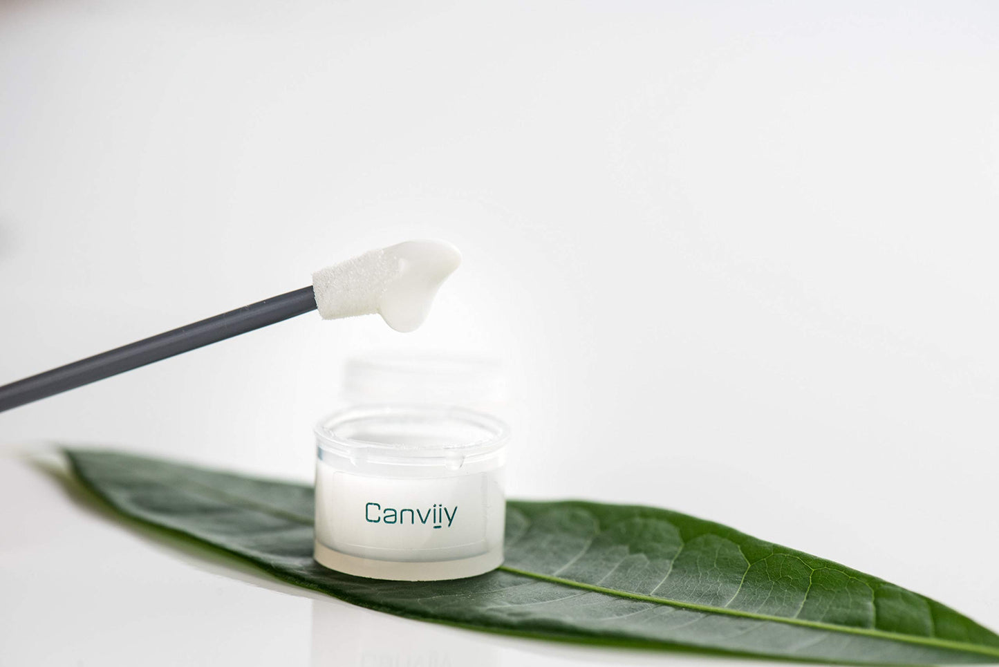 Canviiy Scalpbliss,4 Ounce