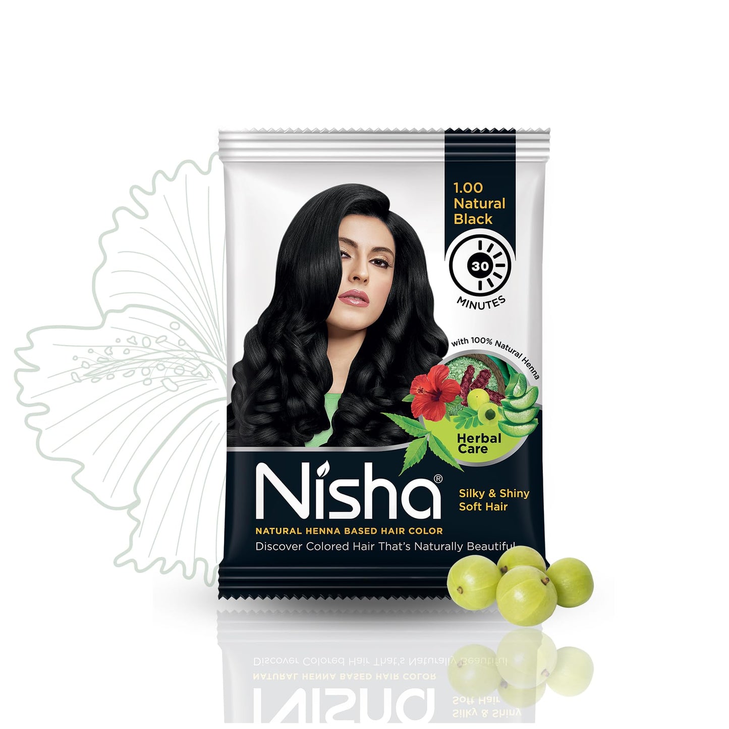 Nisha Natural Henna Based Hair Color (Natural Black) 10GM Pack of 10