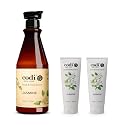 Codi N Codi Jasmine Hand and Body Lotion 25 fl. oz. / 750ml (1 Bottle + 2 Tubes)