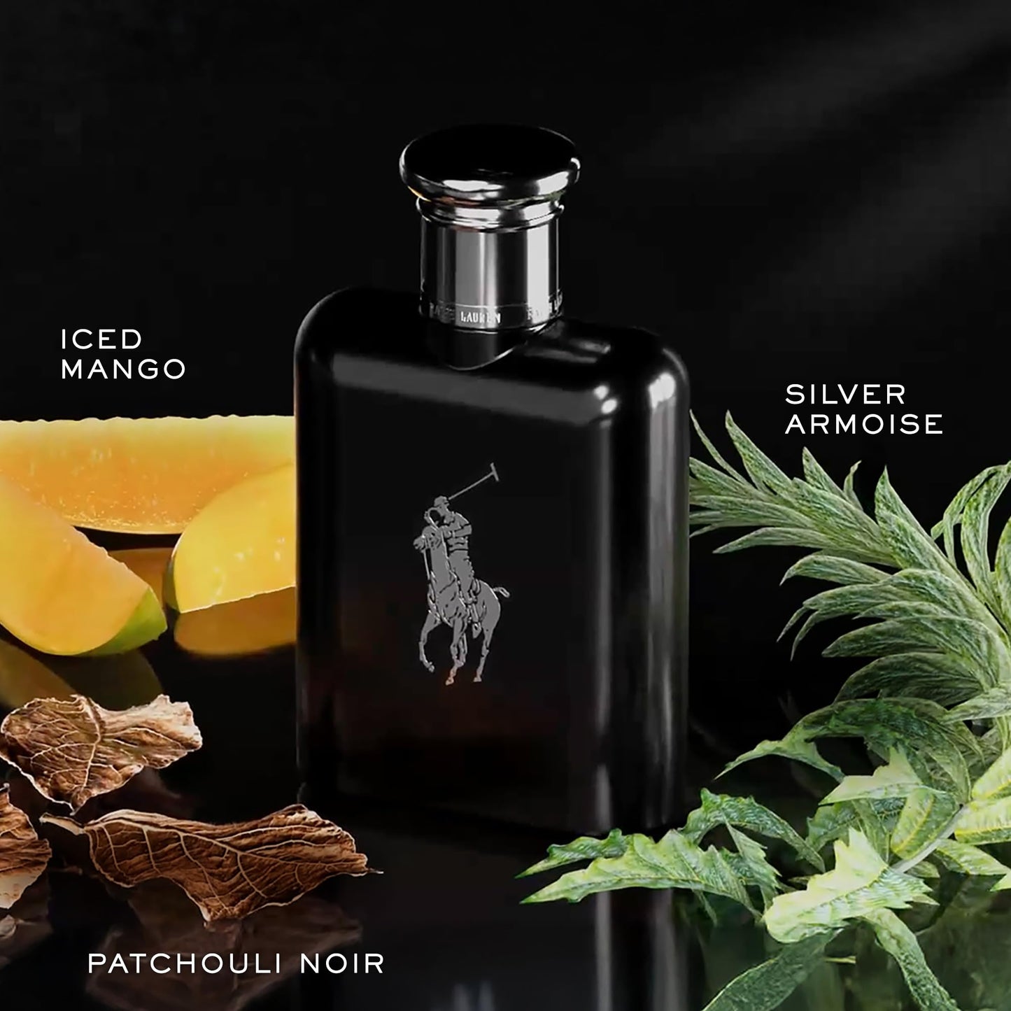 RALPH LAUREN FRAGRANCES Polo Black - Eau de Toilette - Men's Cologne - Woody & Fresh - With Patchouli, Sandalwood, and Mandarin - Medium Intensity