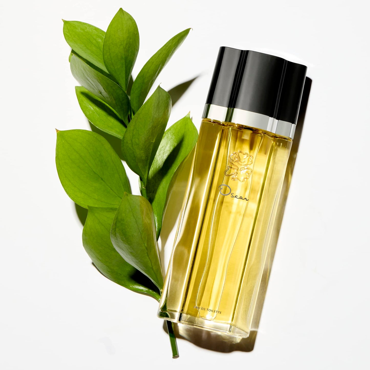 Signature Collection, Body Lotion for Women, 6.8 Fl. Oz.