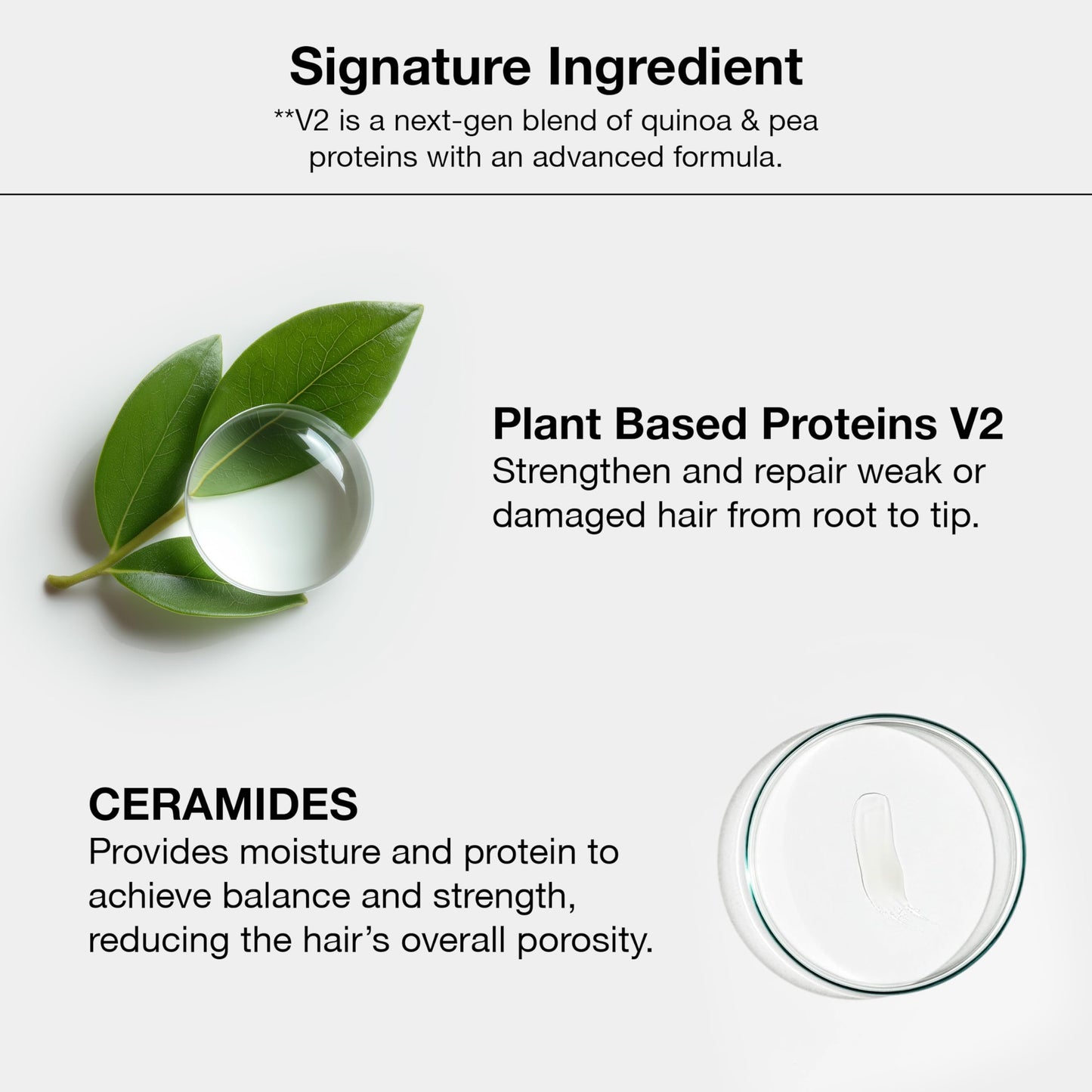 GK HAIR Global Keratin Professional Hair Color Cream Tube (3.4 Fl Oz/100ml) Nourishing & Cleansing Colors for Styling High Performance Long Lasting