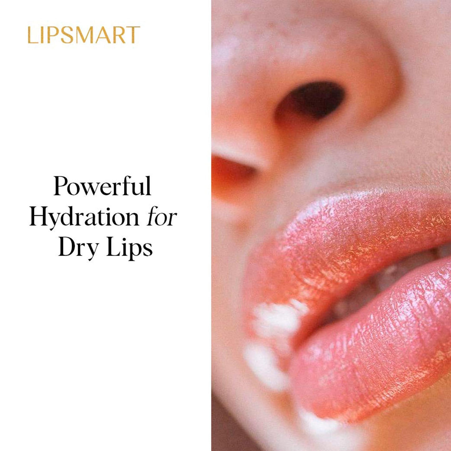 Lipsmart Ultra Hydrating Lip Treatment Moisturizer and Volumizer - Powerful Hydration for Dry Lips (1)