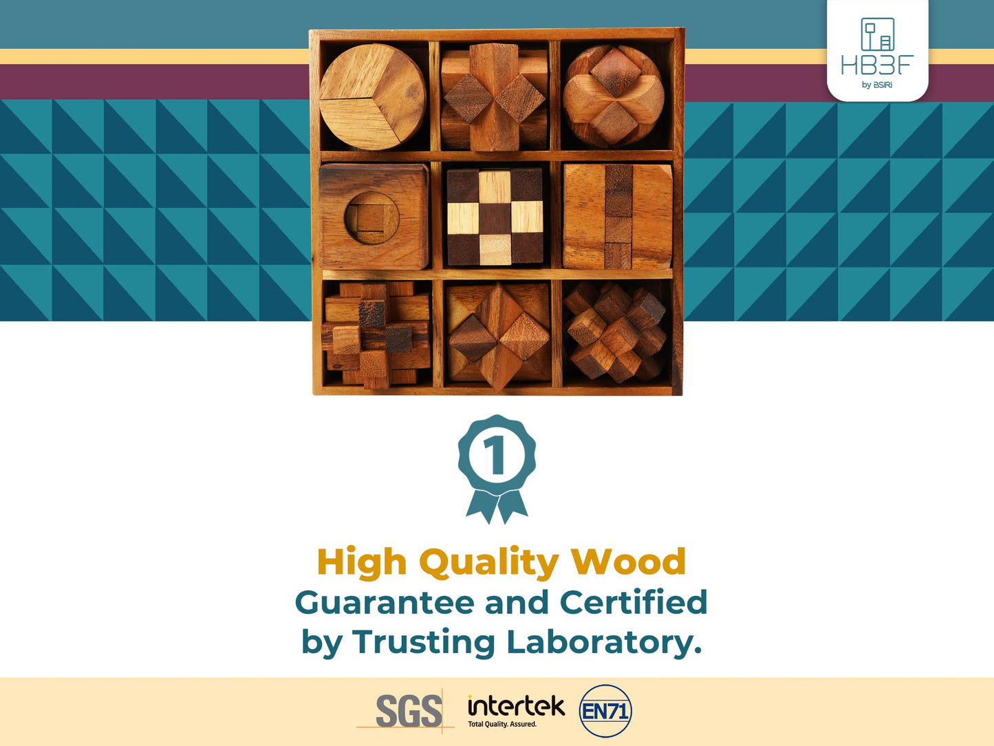 BSIRI 9-in-1 Wooden Brain Teaser Puzzle Set – 3D Mind Games for Kids, Teens & Adults, Hard Level 10, Decorative & Mini Toy Set