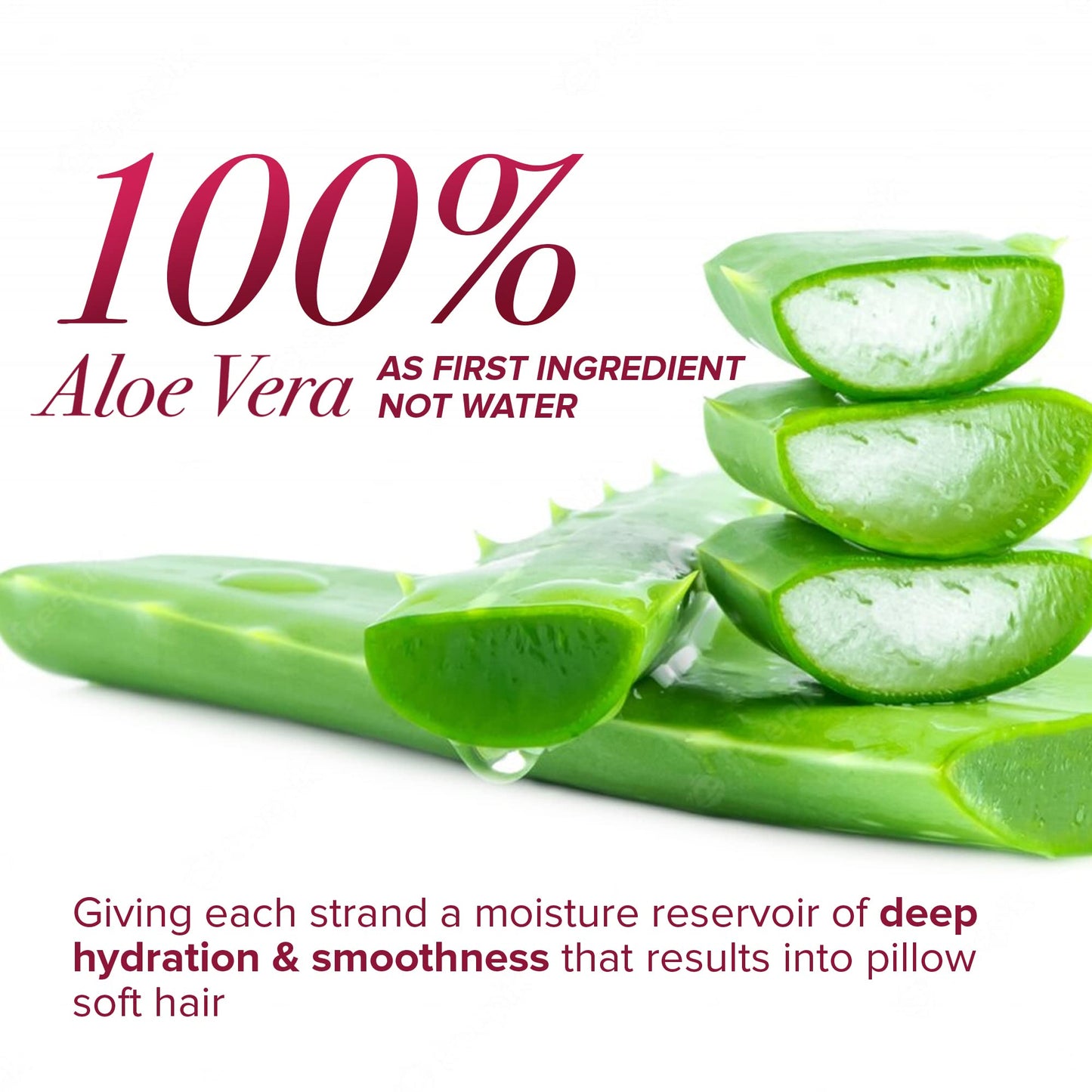 én Love Moisture Crush Shampoo & Conditioner with Coconut Milk & Aloe Vera for Deep Hydration, Smoothness, & Shine - Paraben, Mineral Oil, Petrolatum