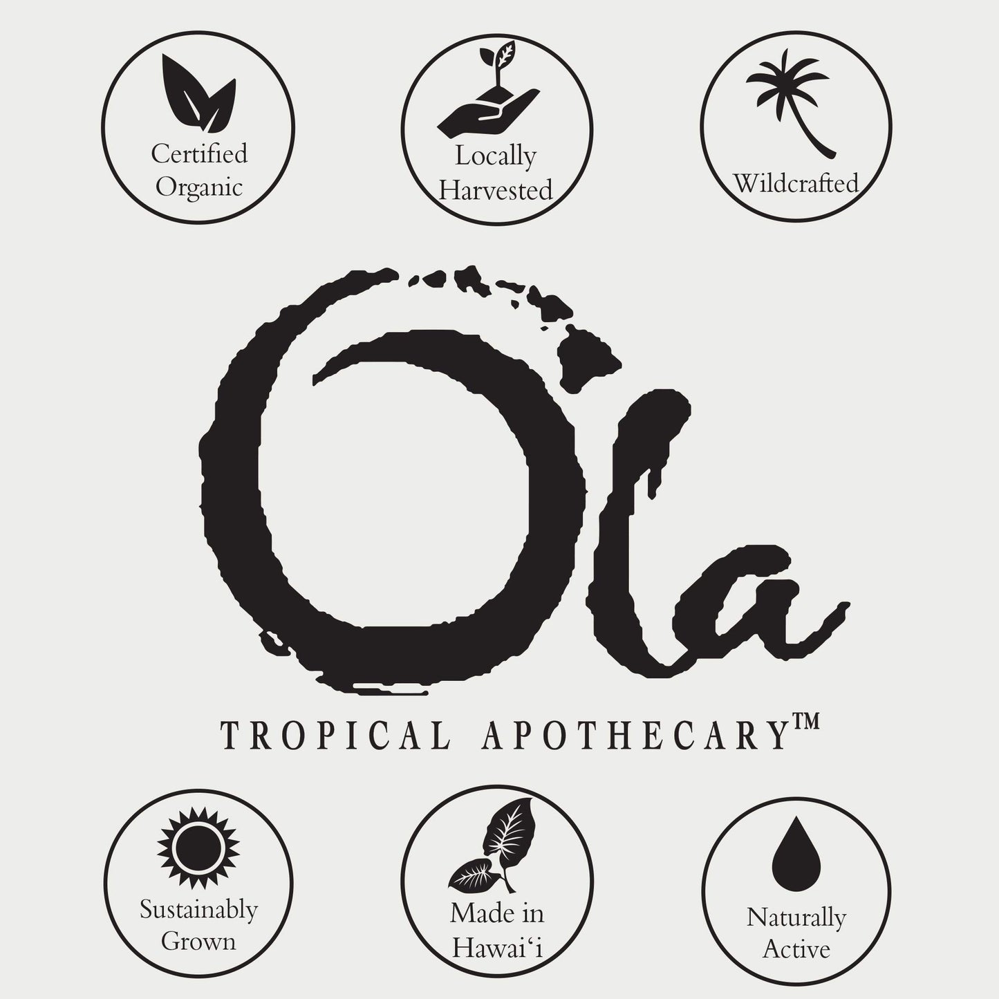 OLA TROPICAL APOTHECARY Coconut Body Wash with Pure Tropical Oils and Plant Extracts - 8 fl oz Beauty & Personal Care Tropical Apothecary