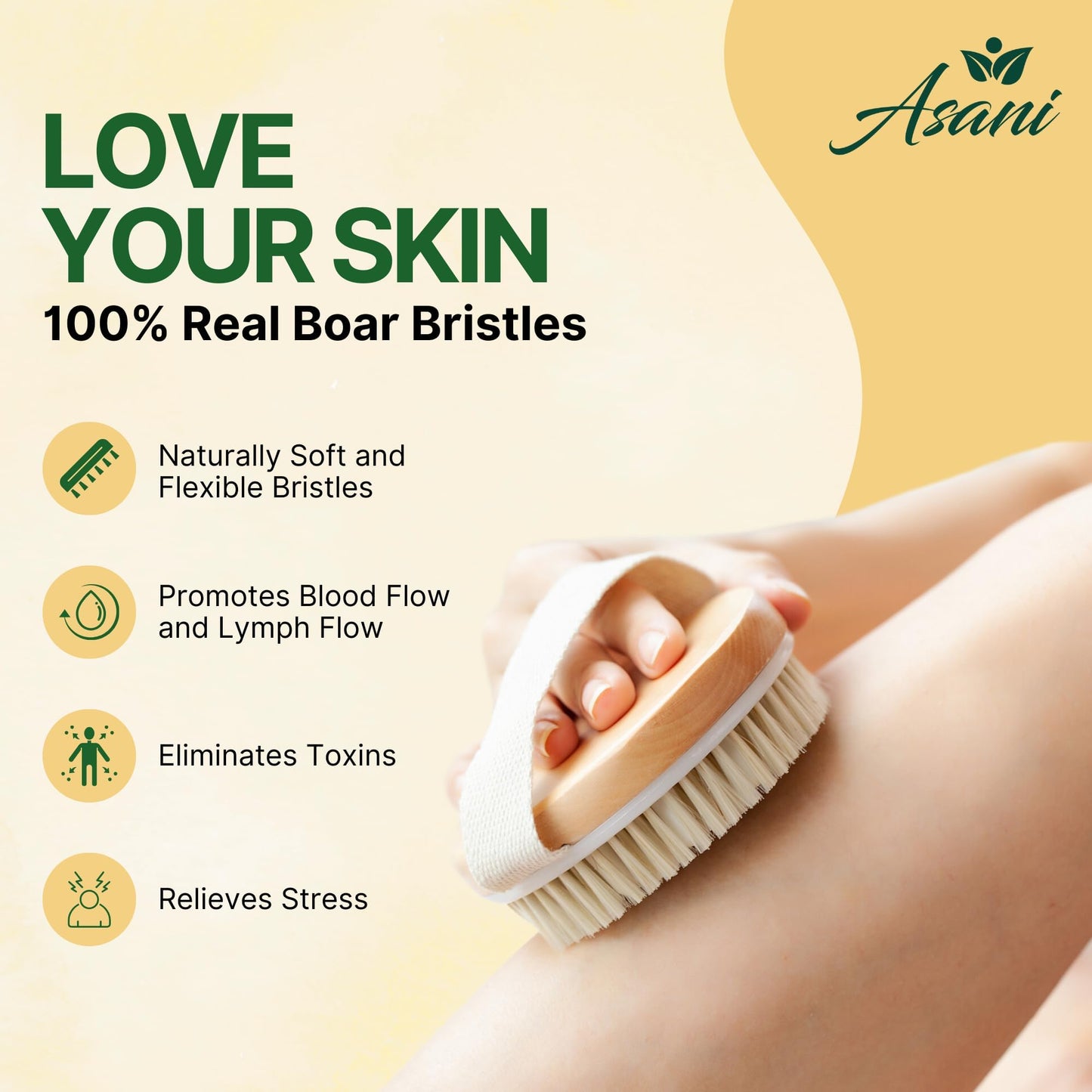 Asani Dry Brushing Body Brush Set for Lymphatic Drainage & Cellulite - 3-Pcs Detachable Back, Contour Body & Face Brushes Organic Gift for Dry Skin