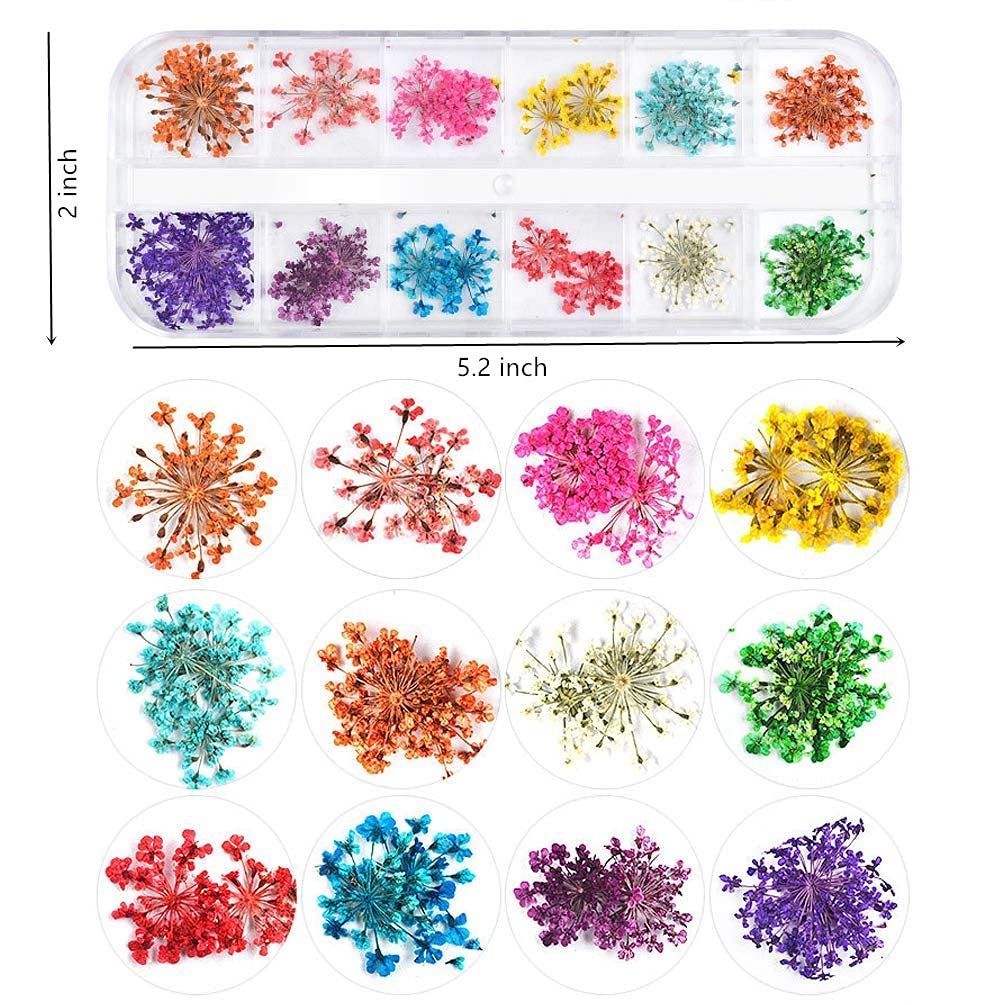 Sinen 1 Box Dried Flowers and 1 Box Fruit Slices for Nail Art, 3D Dry Flowers Nail Stickers ,Colorful Natural Real Flower Nail Decals, Fruit Fimo
