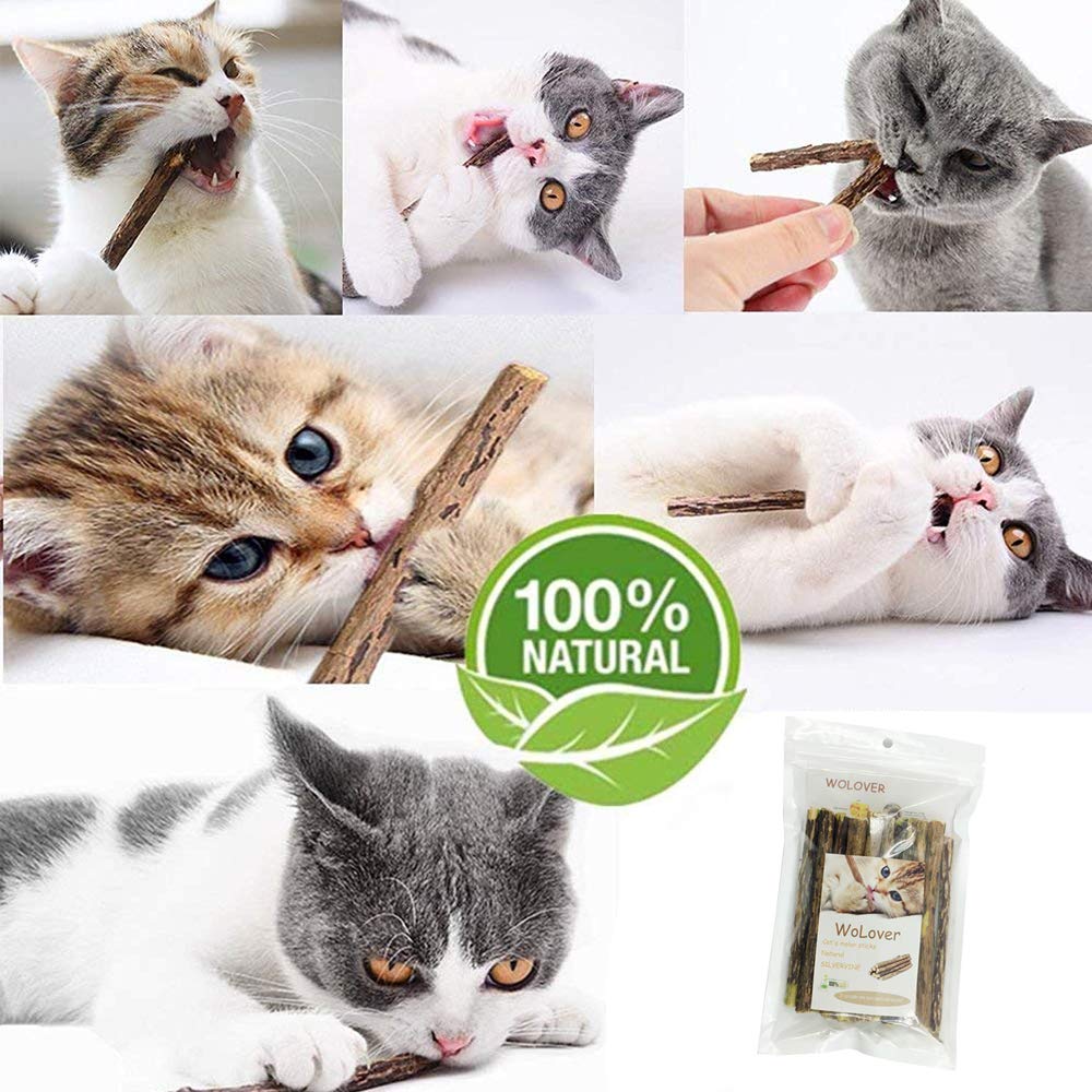 WoLover Silvervine Sticks for Cats, Natural Catnip Matatabi Chew Sticks Teeth Molar Chew Toys for Cat Kitten Kitty (at Least 12 PCS)