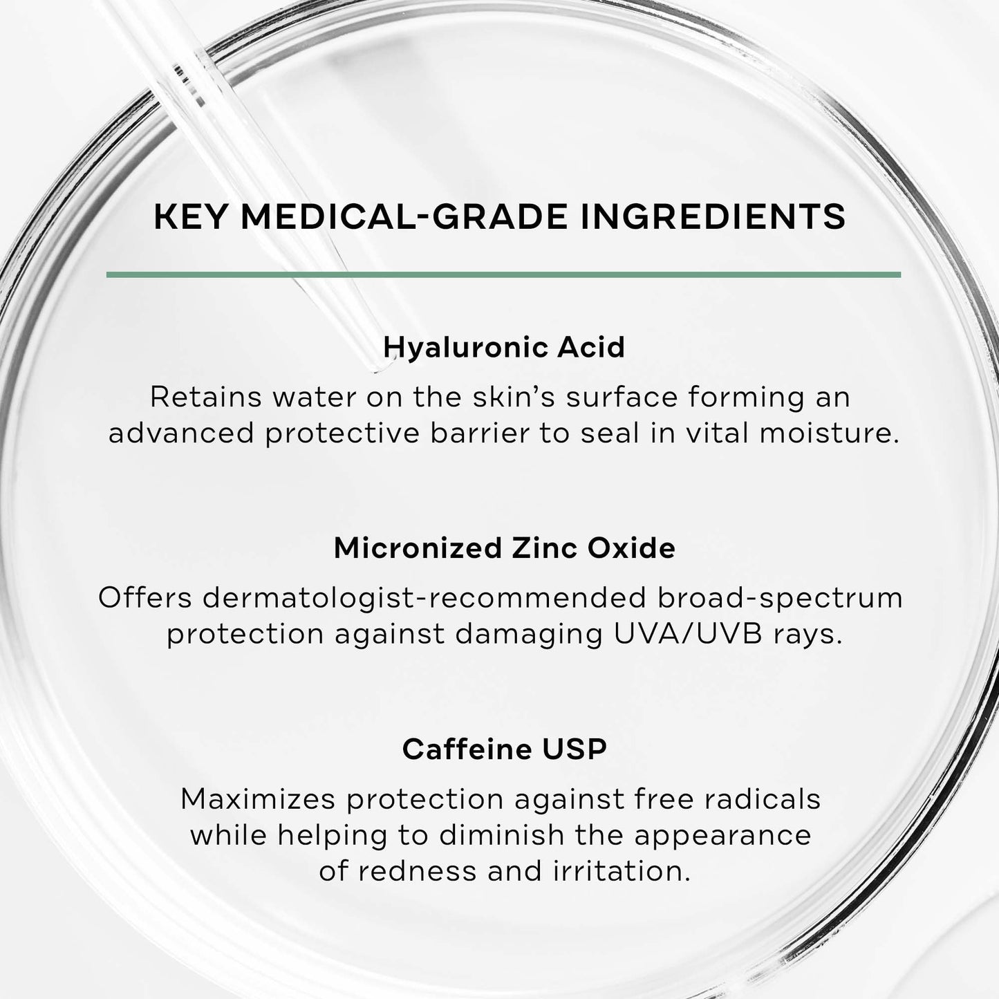 Replenix Antioxidant Hydrating Sunscreen SPF 50+ - Medical Grade Sun Protection, Zinc Oxide, UVA/UVB Protection, Safe for Sensitive Skin, 4 oz.