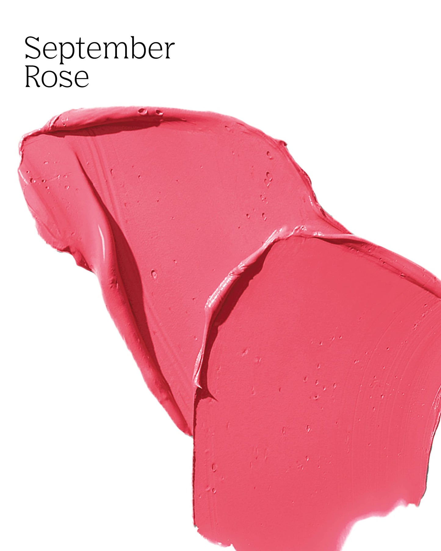 PDL Cosmetics Bold Aspirations Liquid Lipstick (September Rose) | Highly Pigmented Smooth Matte Finish | Rosé Tone | Long Lasting, Non-Transfer