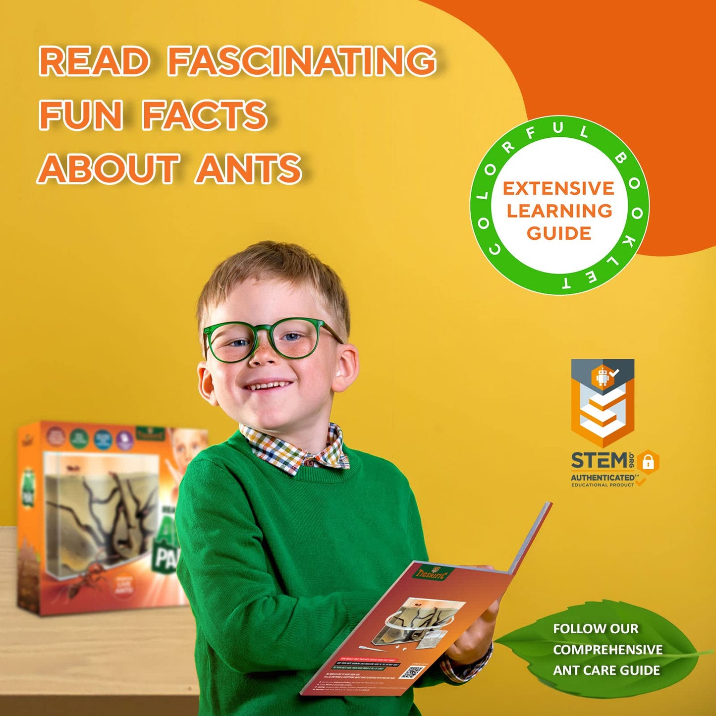 Tigerific Ant Farm – Live Ant Colony Kit with Real Sand, Fun Science Habitat for Kids, Watch Ants Dig Tunnels, Carry Food & Explore