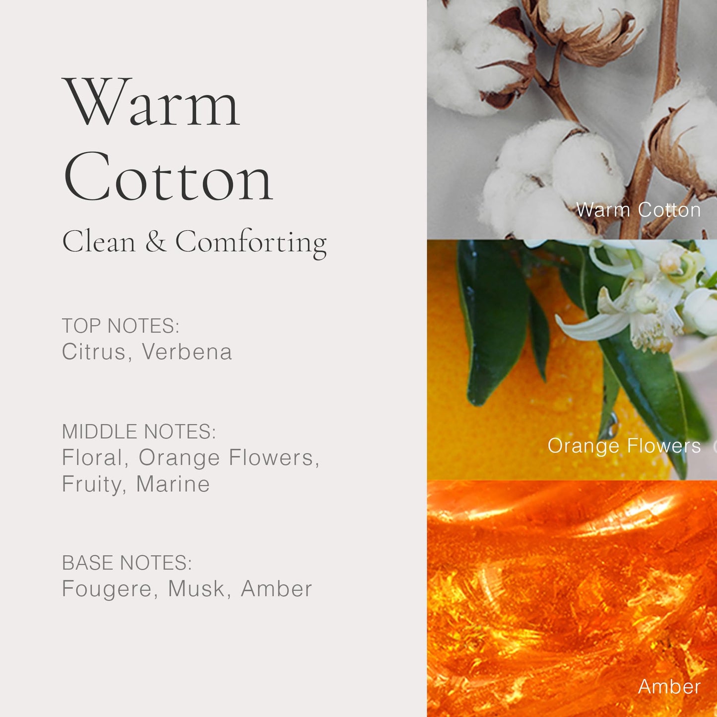 CLEAN CLASSIC Eau de Parfum Light, Casual Perfume Layerable, Spray Fragrance Vegan, Phthalate-Free, & Paraben-Free, 30mL