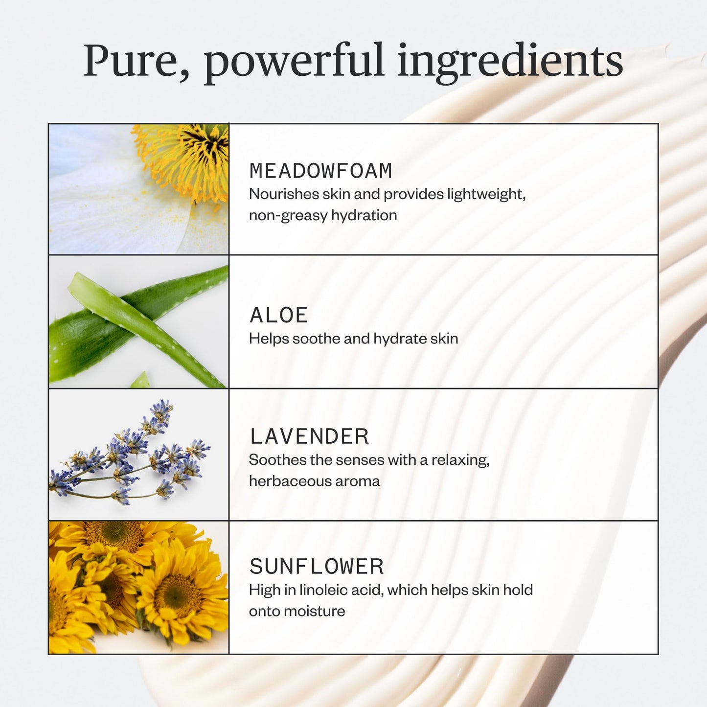 Ursa Major Botanic Buzz Body Lotion | Natural, Vegan and Cruelty-Free | Moisturizes, Soothes and Hydrates Skin | Formulated for Men & Women | 7.37