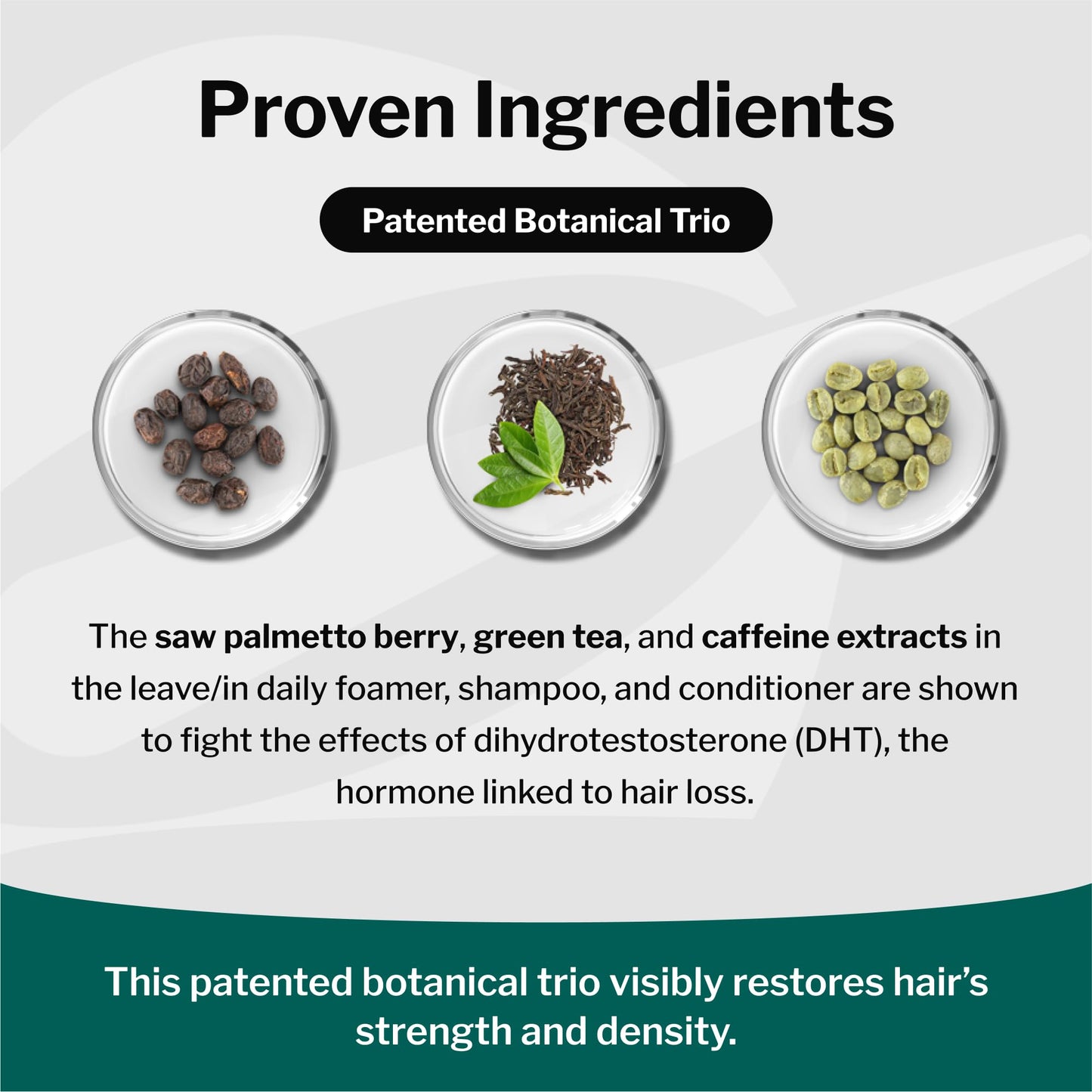 Shapiro MD Hair Growth Experts Natural Hair Kit for Thicker, Fuller, Healthier Looking Hair - Including Shampoo, Conditioner and Leave-In Daily Foam