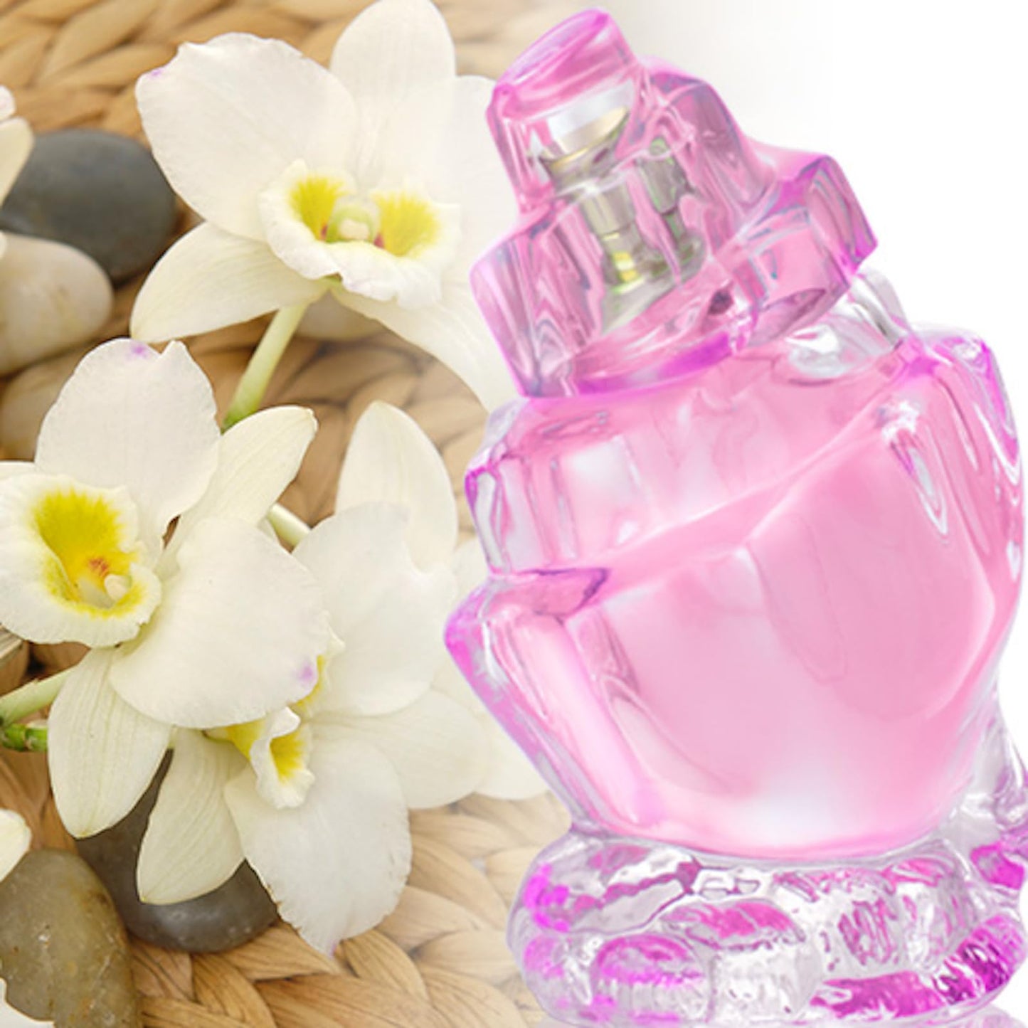 Zermat, Perfume for Women, Caribe Rose, Floral - Fruity Scent 2.53 Fl. Oz