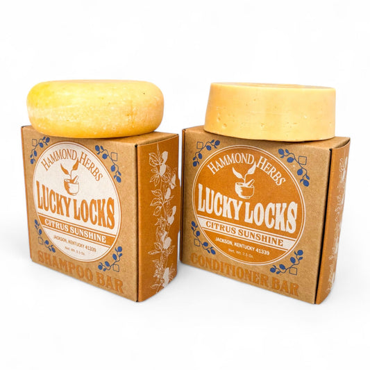 Lucky Locks | Pick Your Scent | Natural Shampoo & Conditioner Bar Set | Zero Waste Hair Care | Sulfate Free (Nettle Mint Meadow)