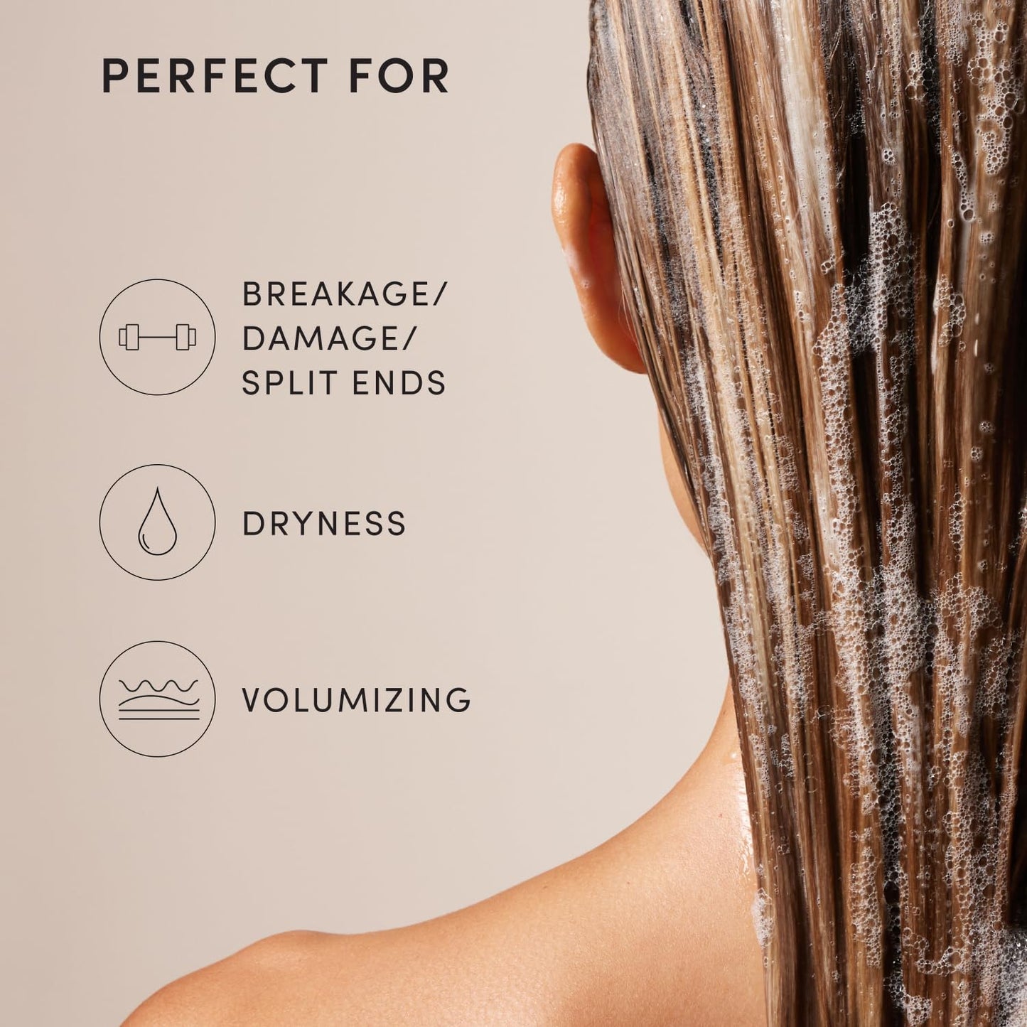 OUAI Fine Hair Shampoo - Biotin Thickening Shampoo for Flat, Thin Hair - Volumizing & Strengthening Keratin & Chia Seed Oil for Women & Men Beauty and Personal Care OUAI