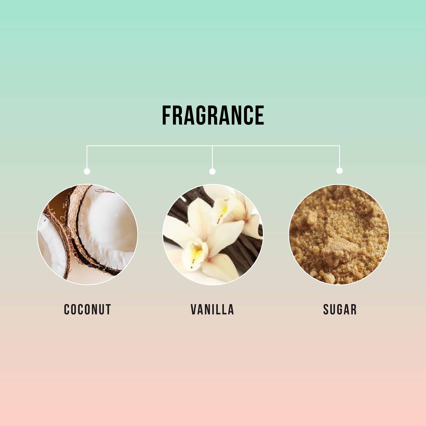 HASK Nourishing Monoi Coconut Shine Oil Vial, 0.625 Ounce (HA32378)