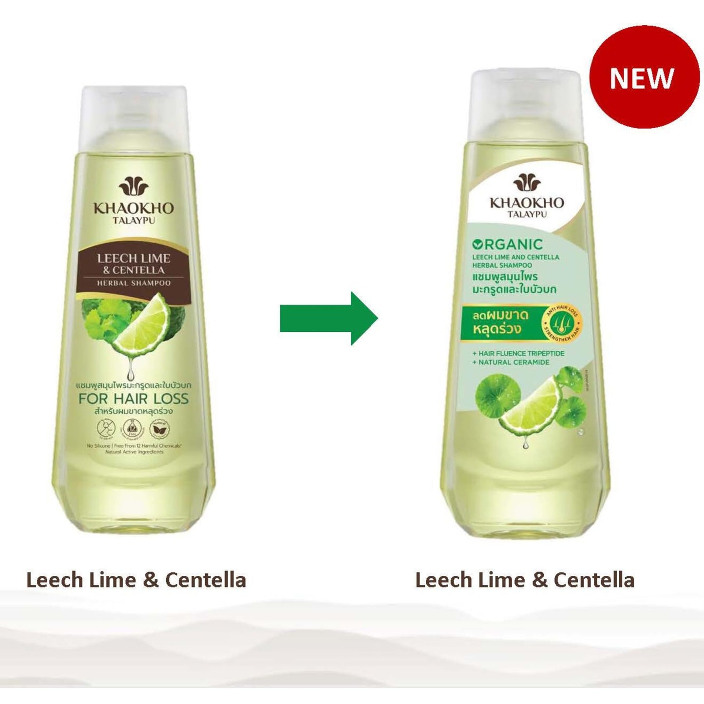 Herbal Shampoo and Conditioner Set with Leech Lime & Centella - Gentle Hair Care for Healthy-Looking Hair, Paraben-, Sulfate- & Silicone-Free, Vegan