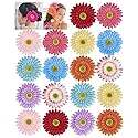 Lawie 18 Pack Fake Artificial Silk Gerbera Daisy Flower Sunflower Daisies Hair Clips Barrettes Clamp Clasps Bow With Alligator Brooch Pin Tropical