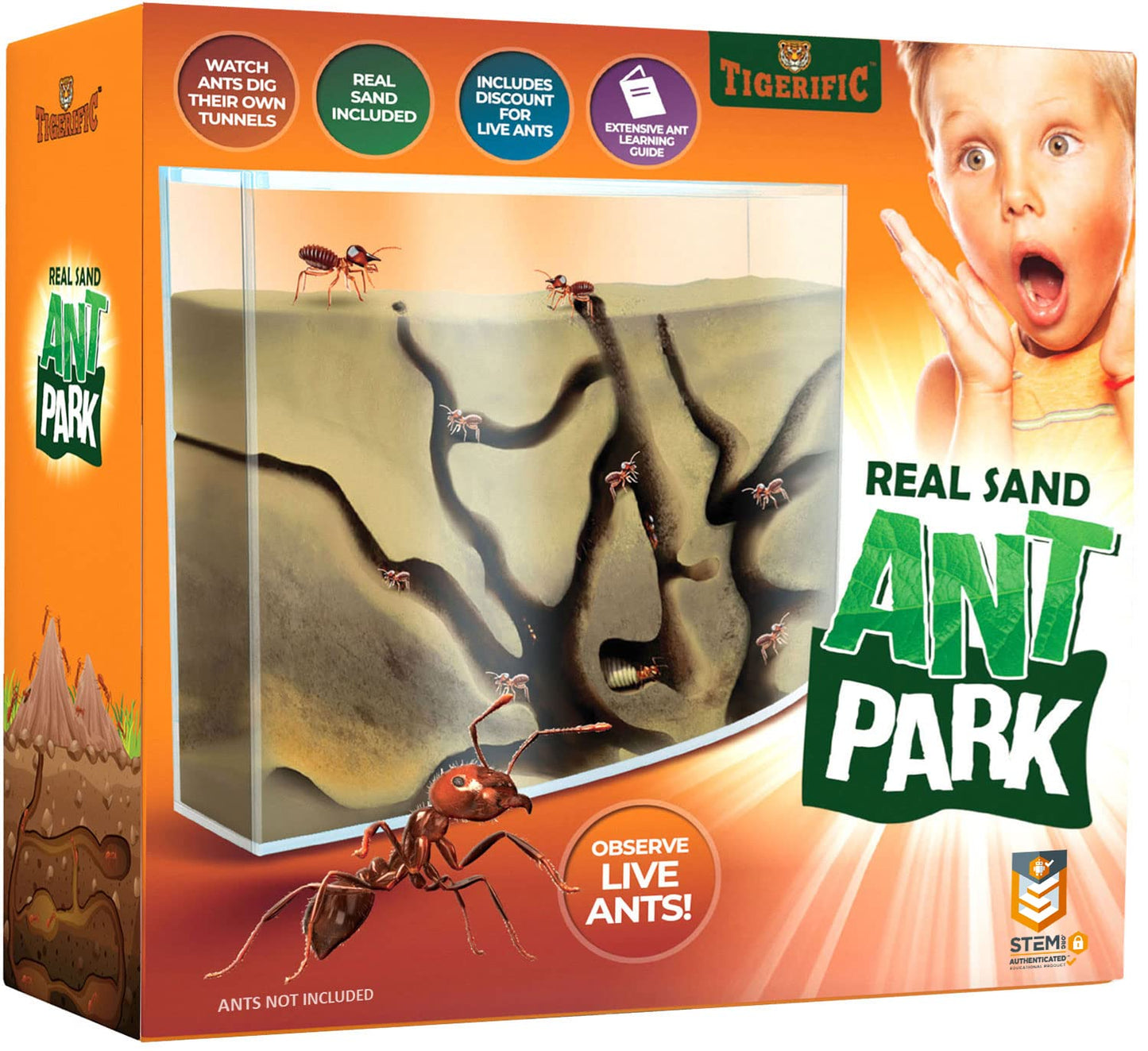 Tigerific Ant Farm – Live Ant Colony Kit with Real Sand, Fun Science Habitat for Kids, Watch Ants Dig Tunnels, Carry Food & Explore
