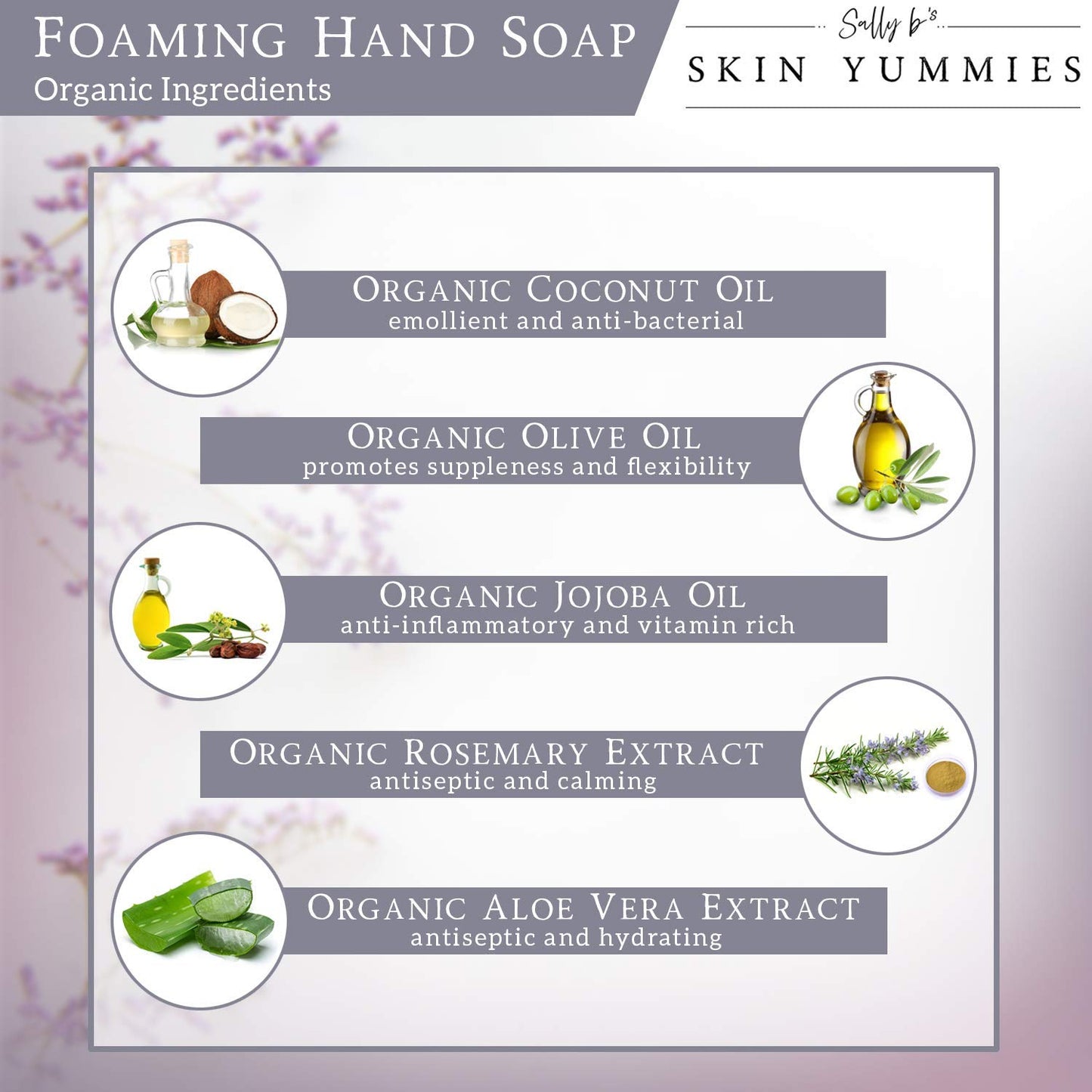 Sally B's Citrus Vanilla Foaming Hand Soap - Wash for Dry Skin/EWG Verified/ 8.5 OZ(Citrus Vanilla)