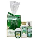 Bath and Body Works VANILLA BEAN NOEL Tree Mini Gift Set 3-pc Travel Size