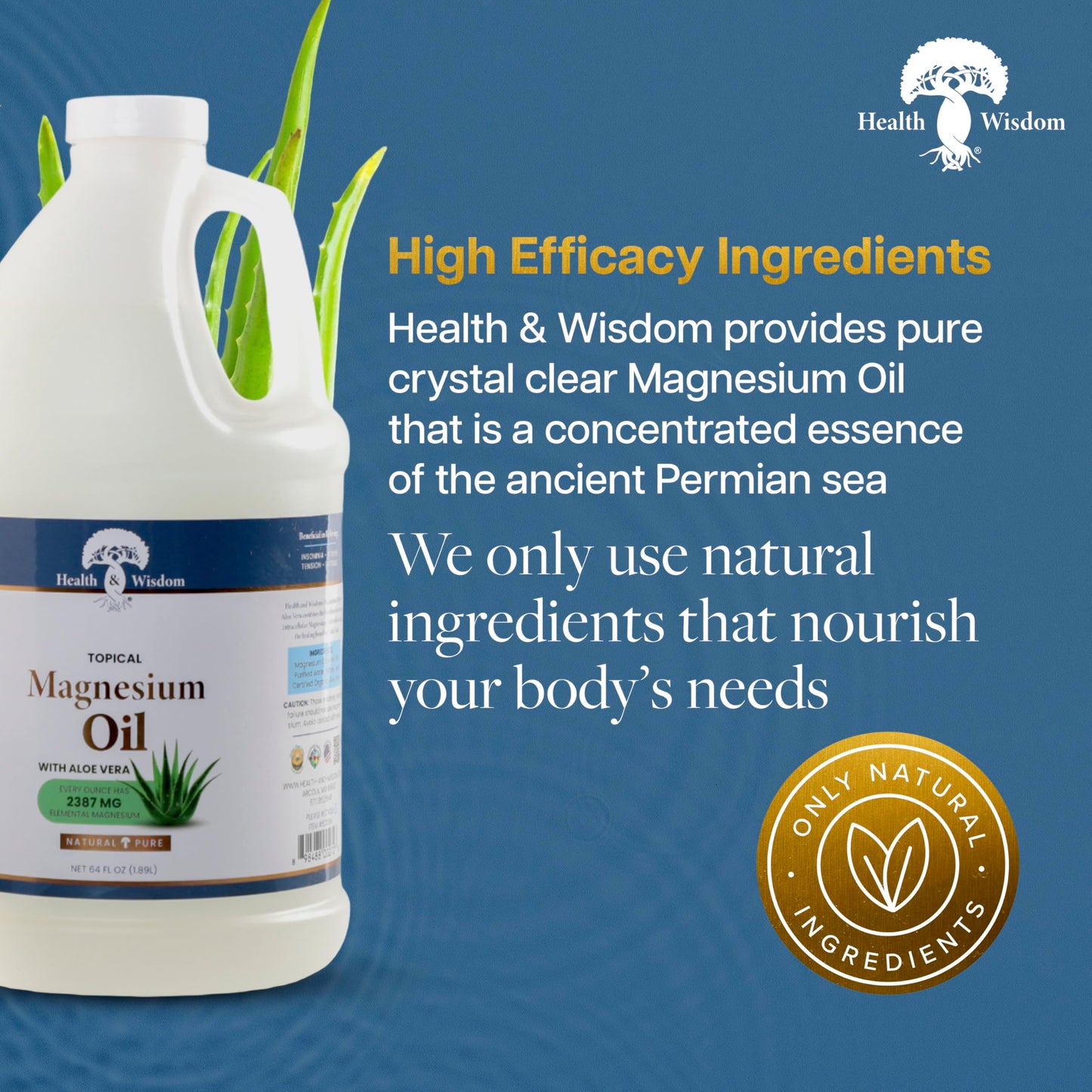 Health & Wisdom Pure Magnesium Oil with Aloe Vera - Topical Muscle & Joint Relief- Natural and Pure USP Grade Extra Strength Magnesium - Enhanced