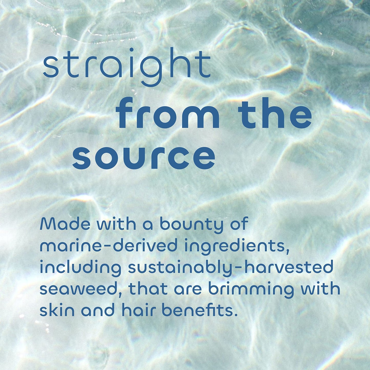 Seaweed Bath Co. Smooth Conditioner, Citrus Vanilla Scent, 12 Ounce, Sustainably Harvested Seaweed, Borage and Broccoli Seed Oils, For Curly