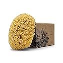 Baudelaire Sea Wool Sponge 5.5" - Natural Sea Sponge for Bathing and Shower - Durable, Sustainable & Environment-Friendly Loofah for Body