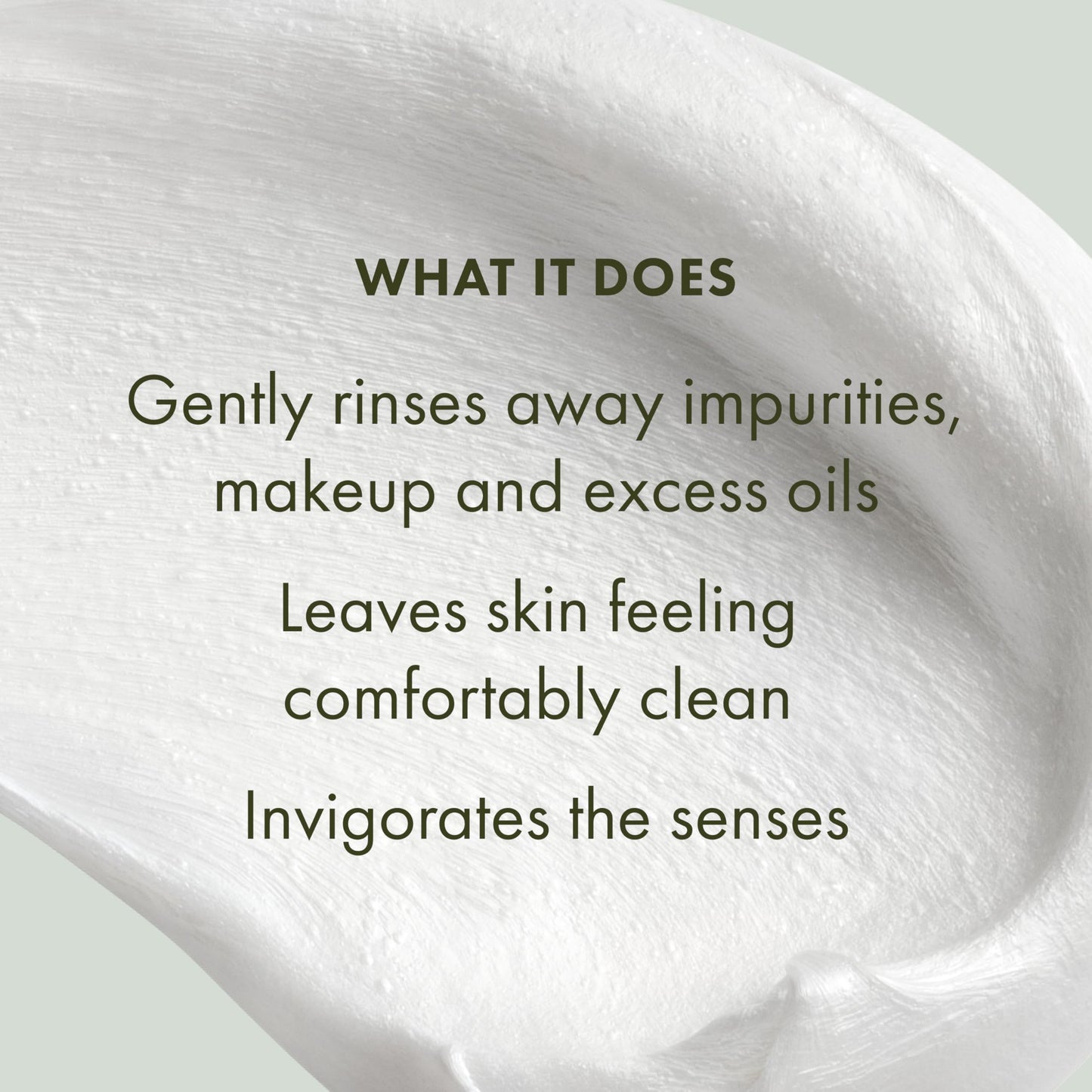 Origins Checks and Balances Frothy Face Wash | Gentle Face Cleanser for All Skin Types | With Mint, 5 Fl Oz