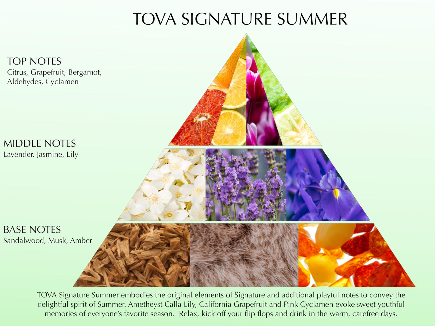 Tova Signature Summer Eau de Parfum - Floral Citrus Perfume for Women - Bergamot Jasmine Musk - Crafted in France & Cruelty-Free - 3.4 fl oz