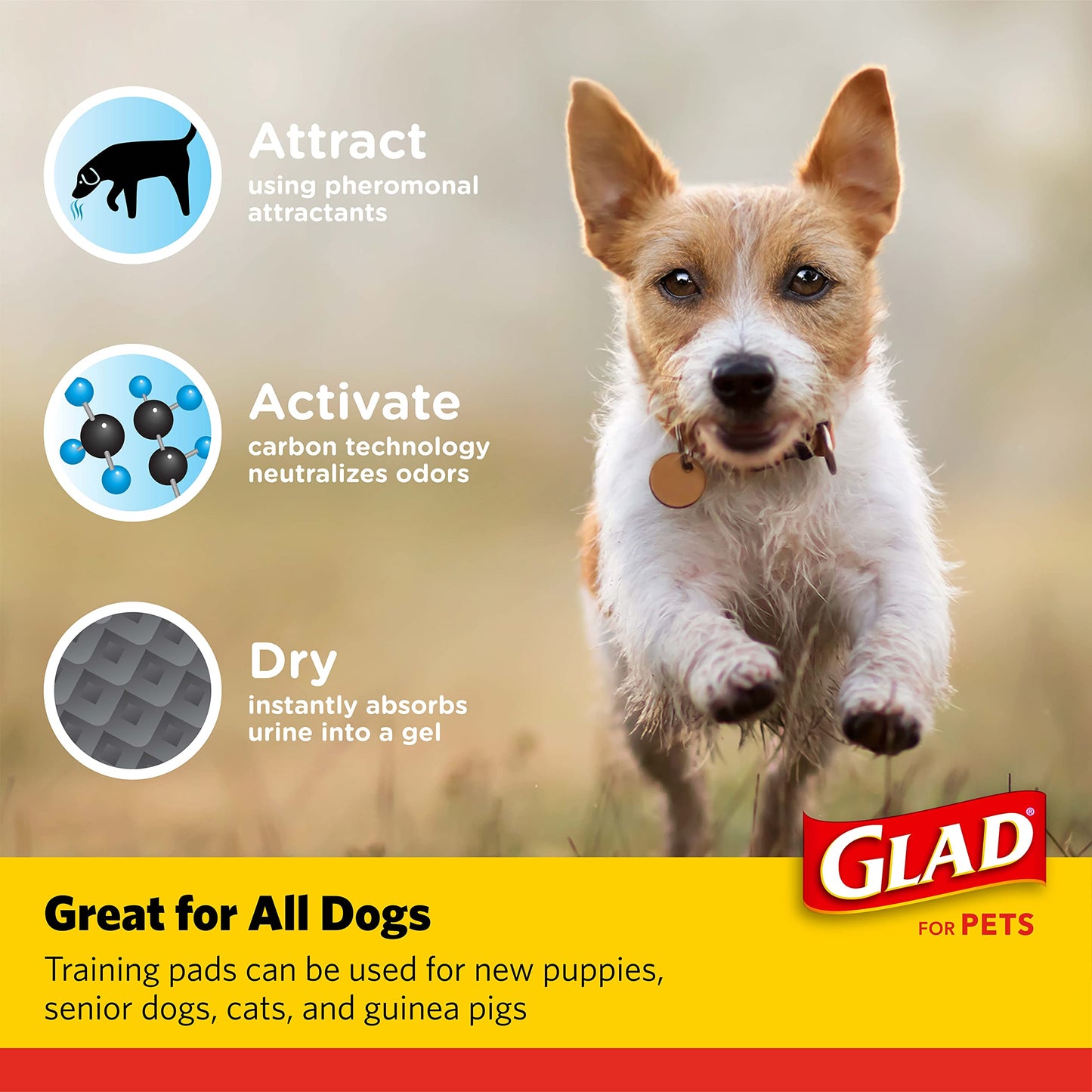 Glad for Pets Charcoal Puppy Pads 23"x23" – Activated Carbon Pee Pads Absorb & Neutralize Urine Instantly, 100 Count