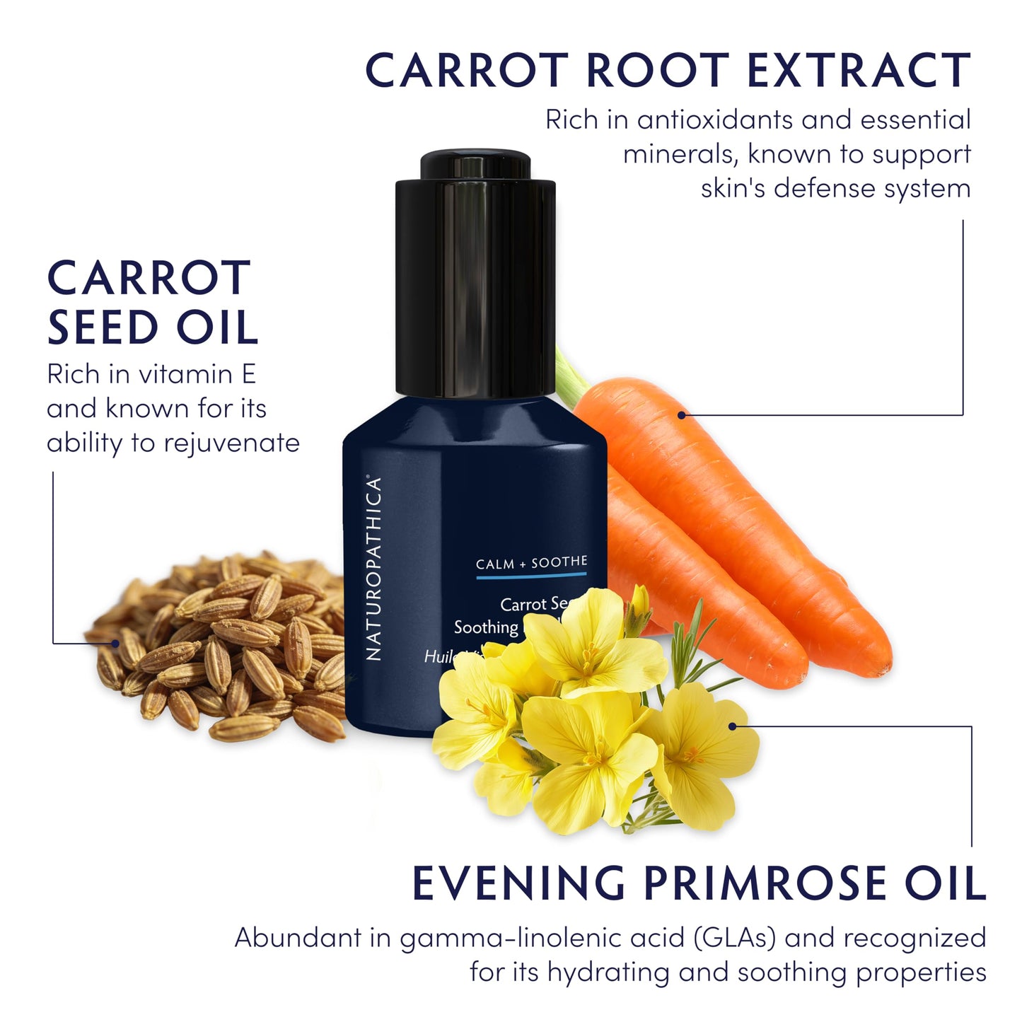 Naturopathica Carrot Seed Soothing Facial Oil, Rejuvenating Face Oil to Help Prevent Redness & Protect Skin, Hydrating Antioxidant Oil for Face, 1.18