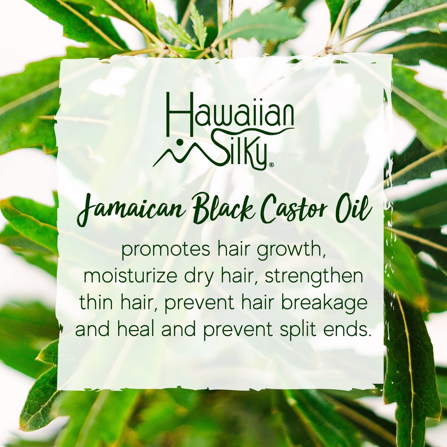 Hawaiian Silky Jamaican Black Castor Oil Collection Non Flaking Curling Gel