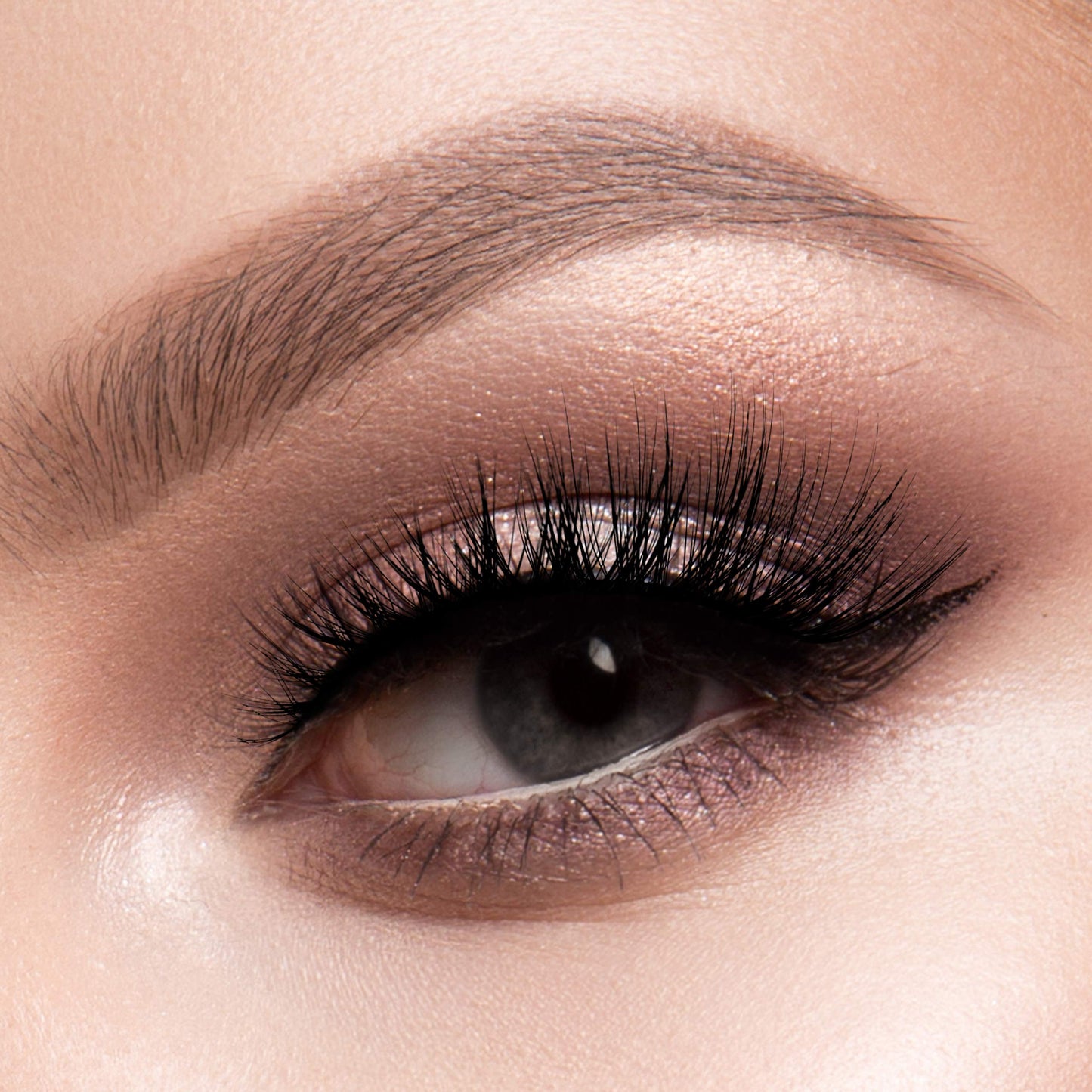 CATTITUDE 3D LASHES Princess Wild Cat False Eyelashes, Lightweight & Reusable, Cruelty-Free