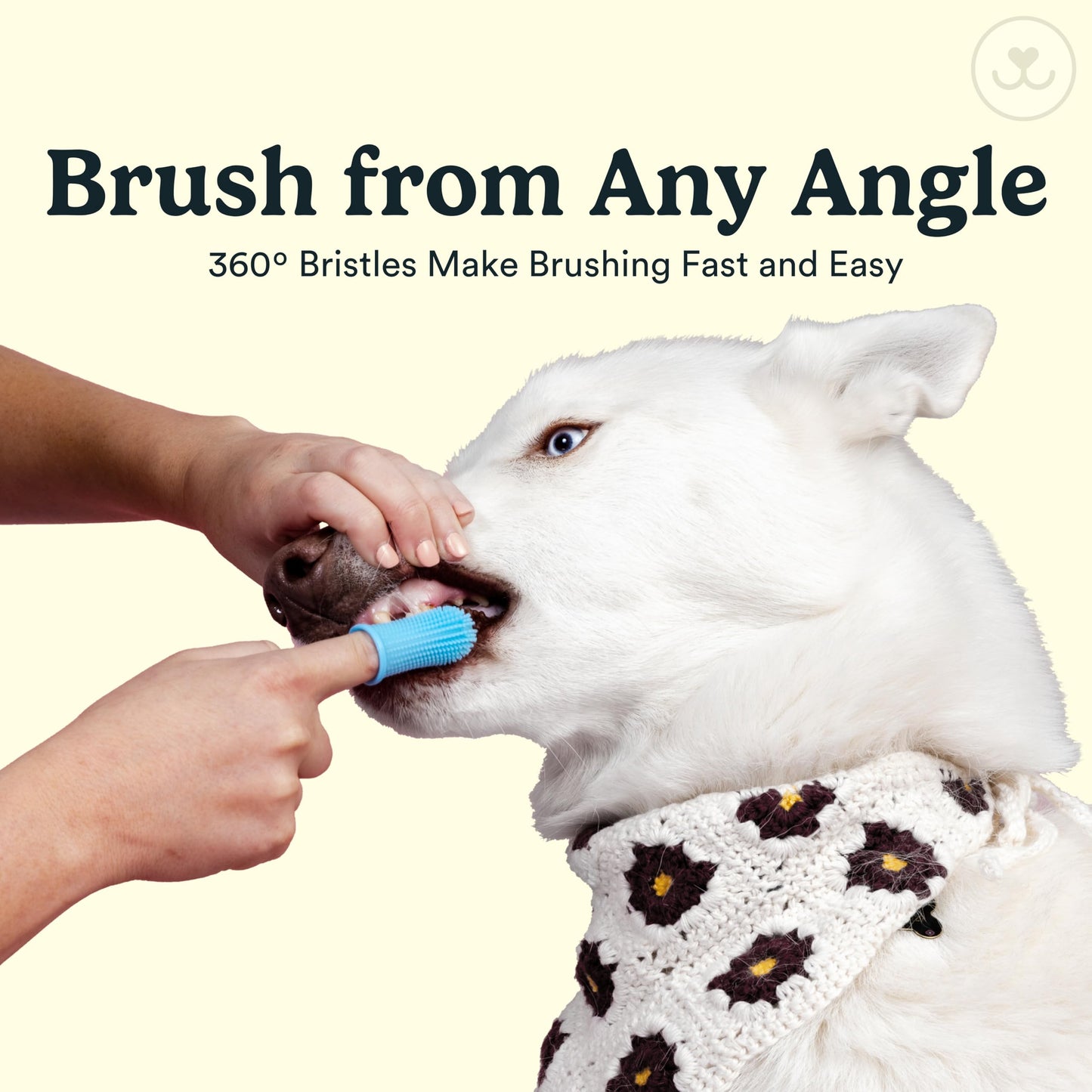 Jasper 360° Dog & Cat Toothbrush Kit – 2-Pack Finger Brushes for Small & Large Pets, Easy Teeth Cleaning, Blue