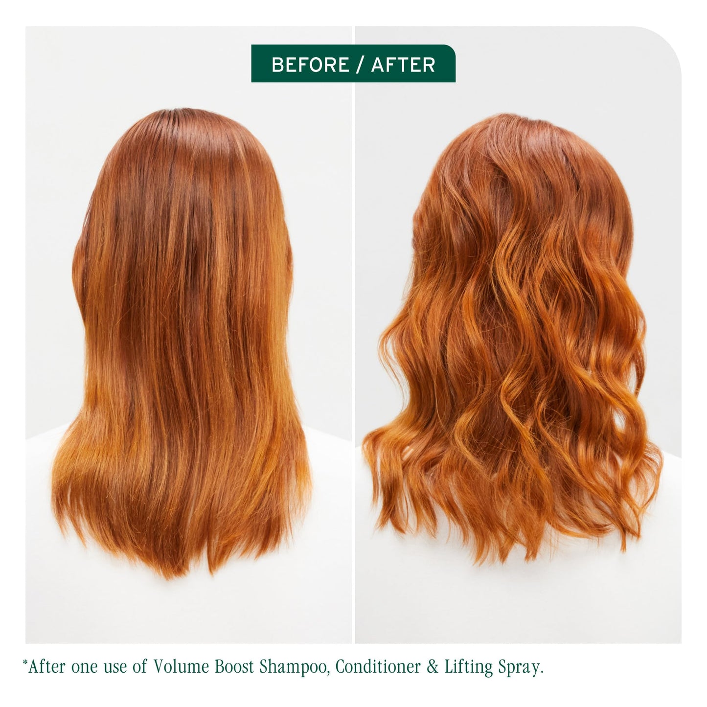 Biolage Volume Boost Volumizing Spray - Adds Bounce, Movement & Fullness, Root Lift Spray for Fine Hair, Soy Protein & Polymers, Paraben-Free & Vegan