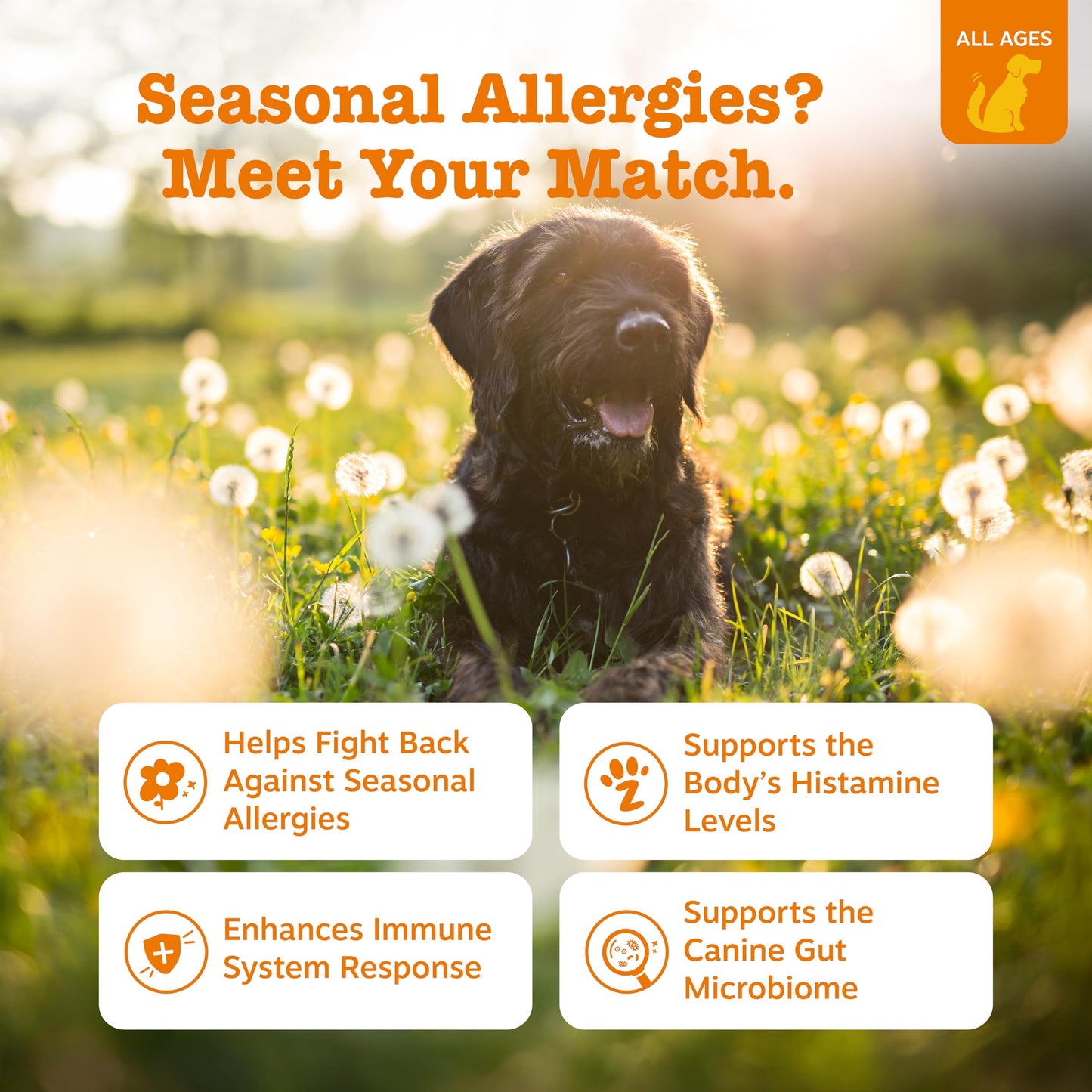 Zesty Paws Allergy Relief for Dogs – Itch, Skin & Ear Soothing Chews with Probiotics – Lamb Flavor – 90ct