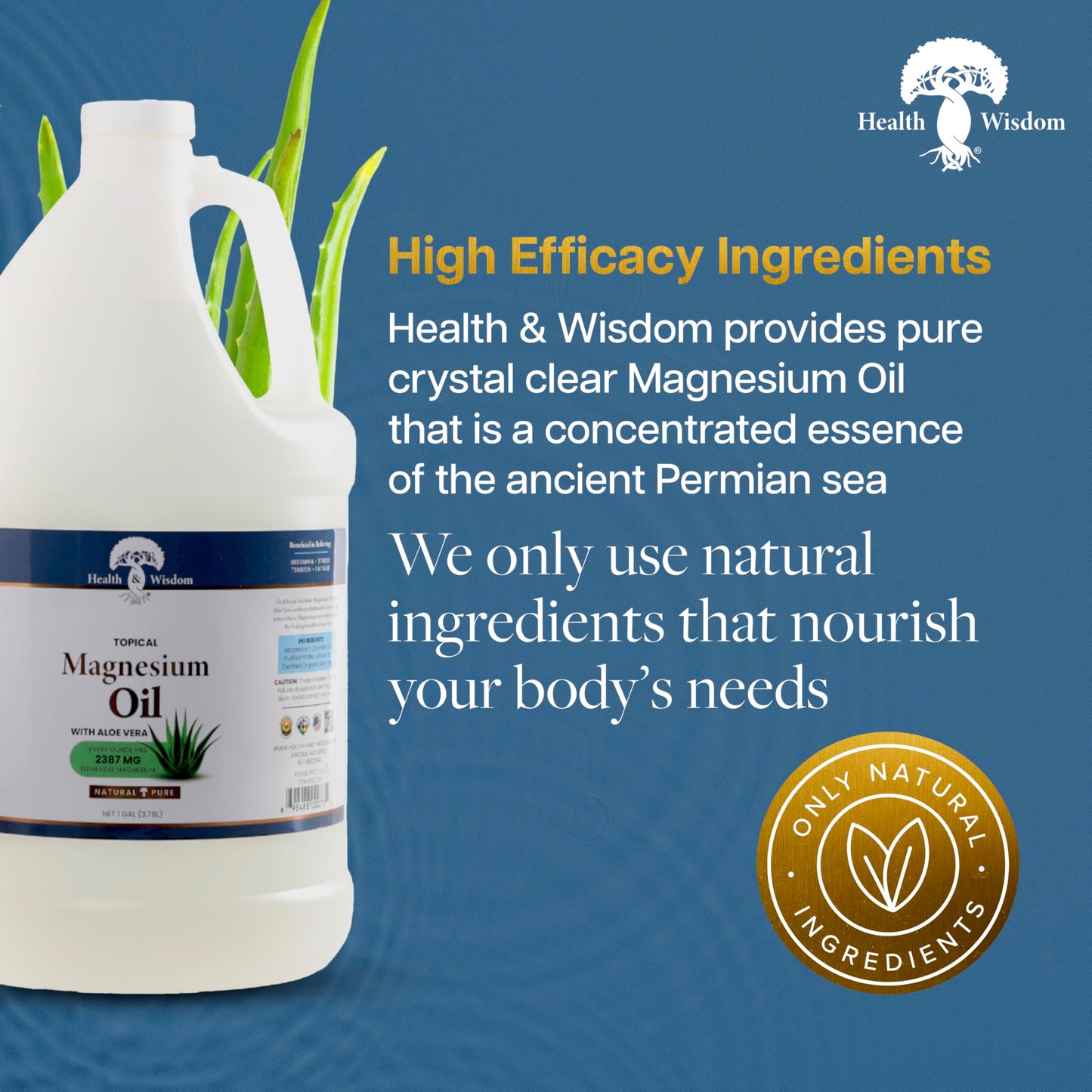 Health & Wisdom Pure Magnesium Oil with Aloe Vera - Topical Muscle & Joint Relief- Natural and Pure USP Grade Extra Strength Magnesium - Enhanced