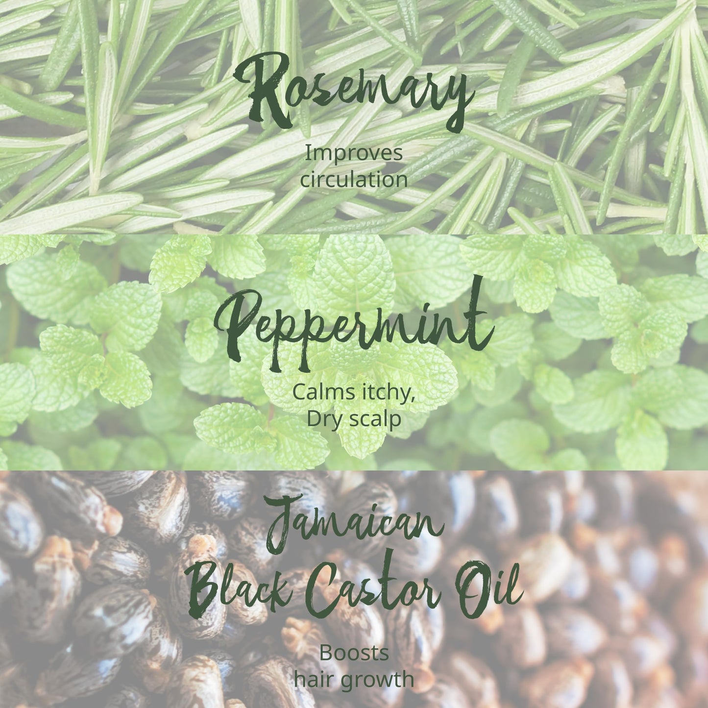 Hair Gro Rosemary Mint Shampoo & Conditioner Set - Jamaican Black Castor Oil Blend. Gently Cleanse, Moisturize, Refresh Scalp & Repair Damaged Hair