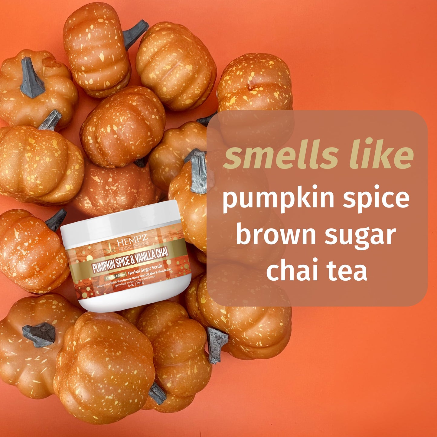 Hempz Limited Edition Pumpkin Spice & Vanilla Chai Herbal Lip Balm .44 oz