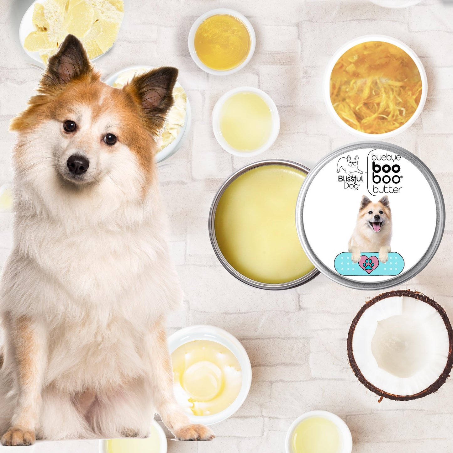 The Blissful Dog Icelandic Sheepdog Boo Boo Butter, 1 Ounce Beauty and Personal Care The Blissful Dog